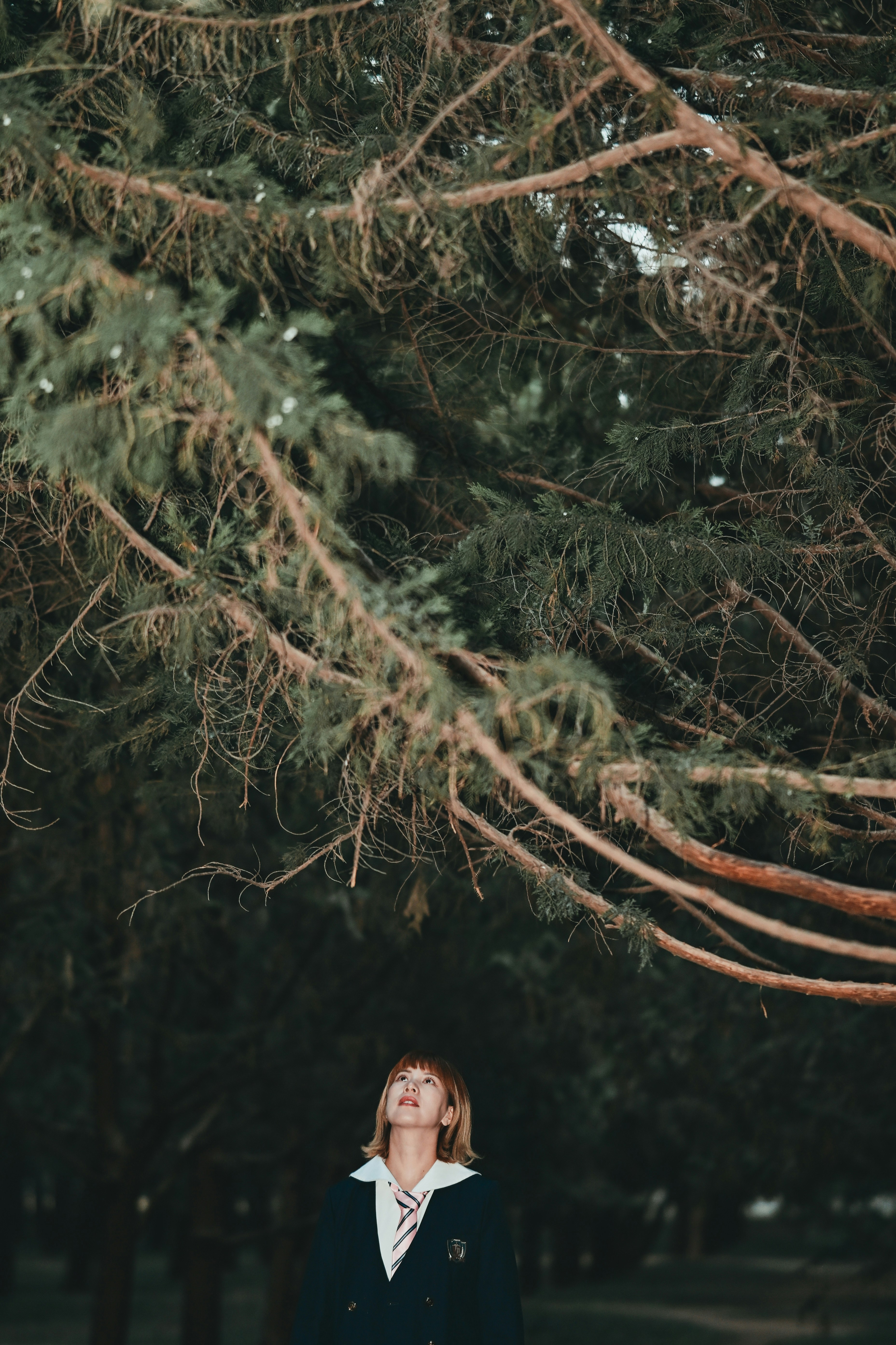Photo by soujest