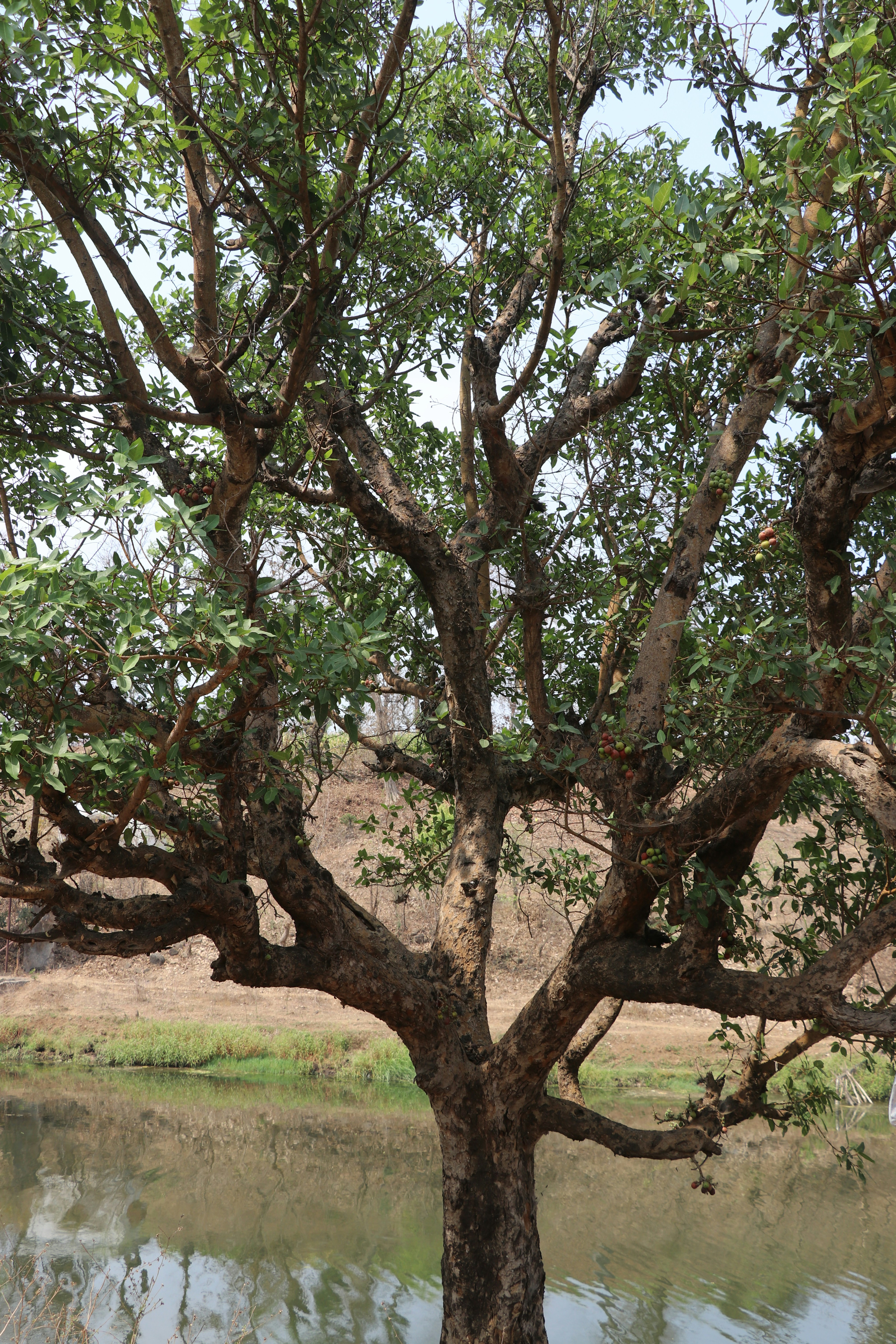 Photo by hiteshpatel