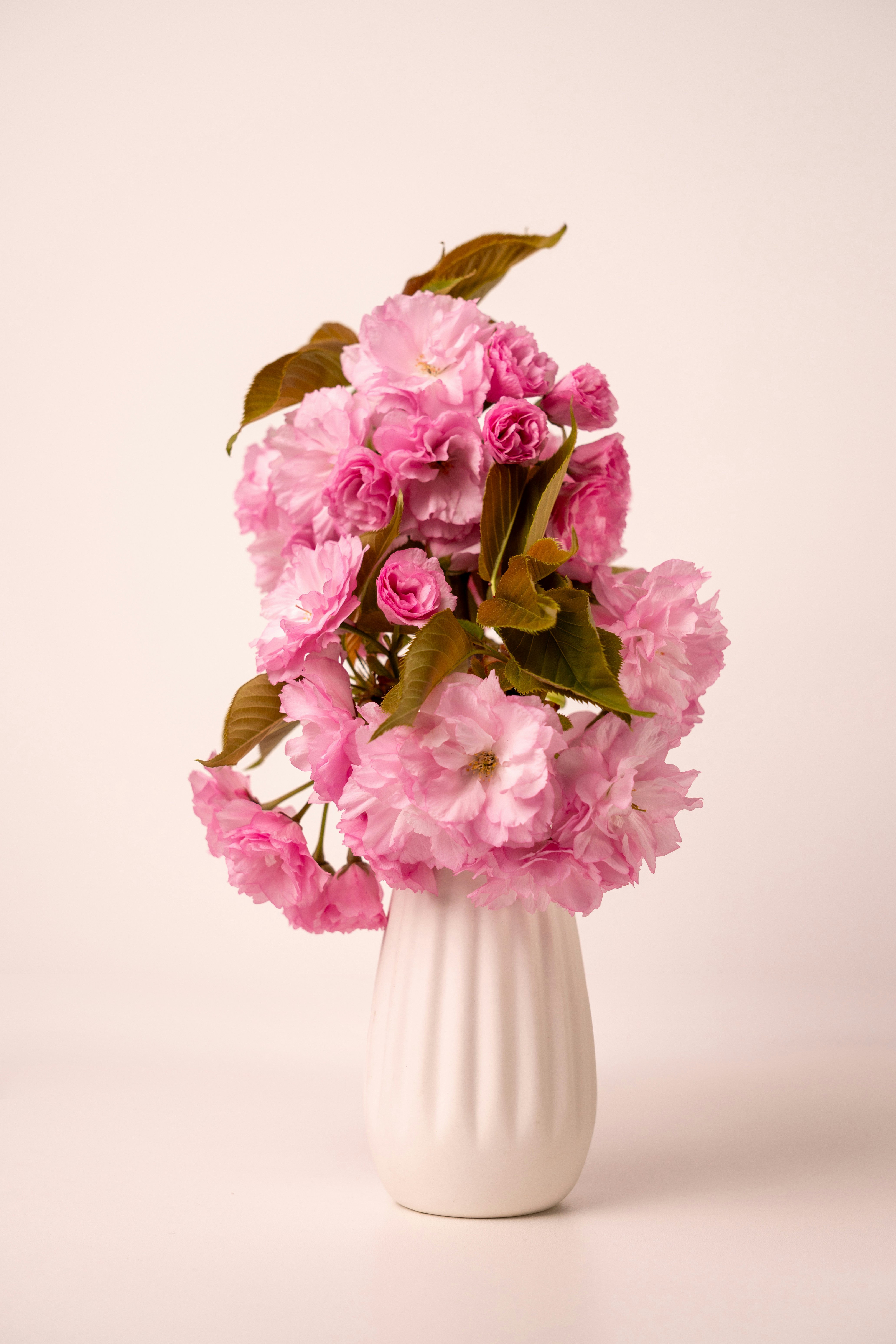 A bouquet of pink cherry blossoms in a white vase.
