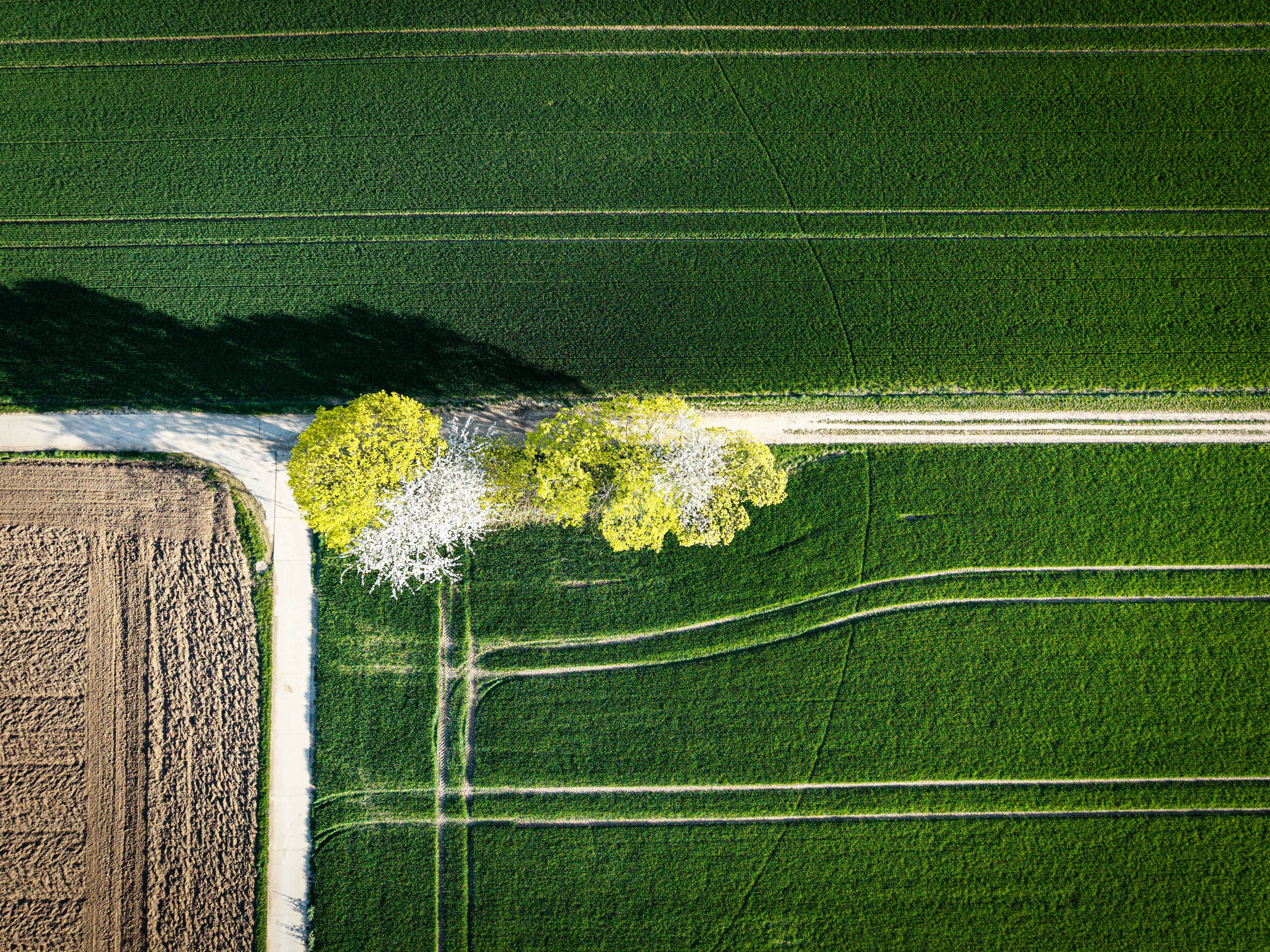 Photo by hdbernd