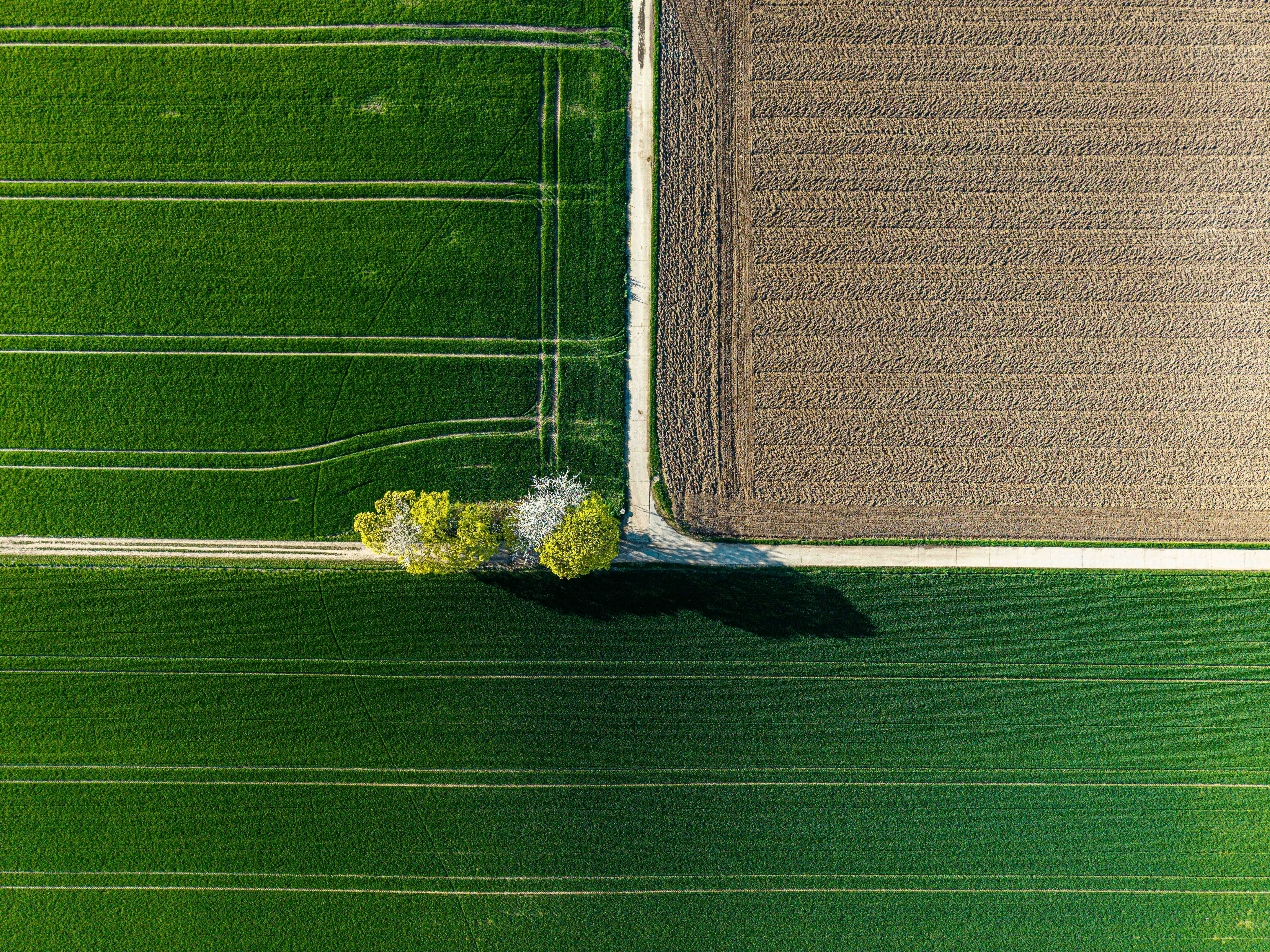 Photo by hdbernd