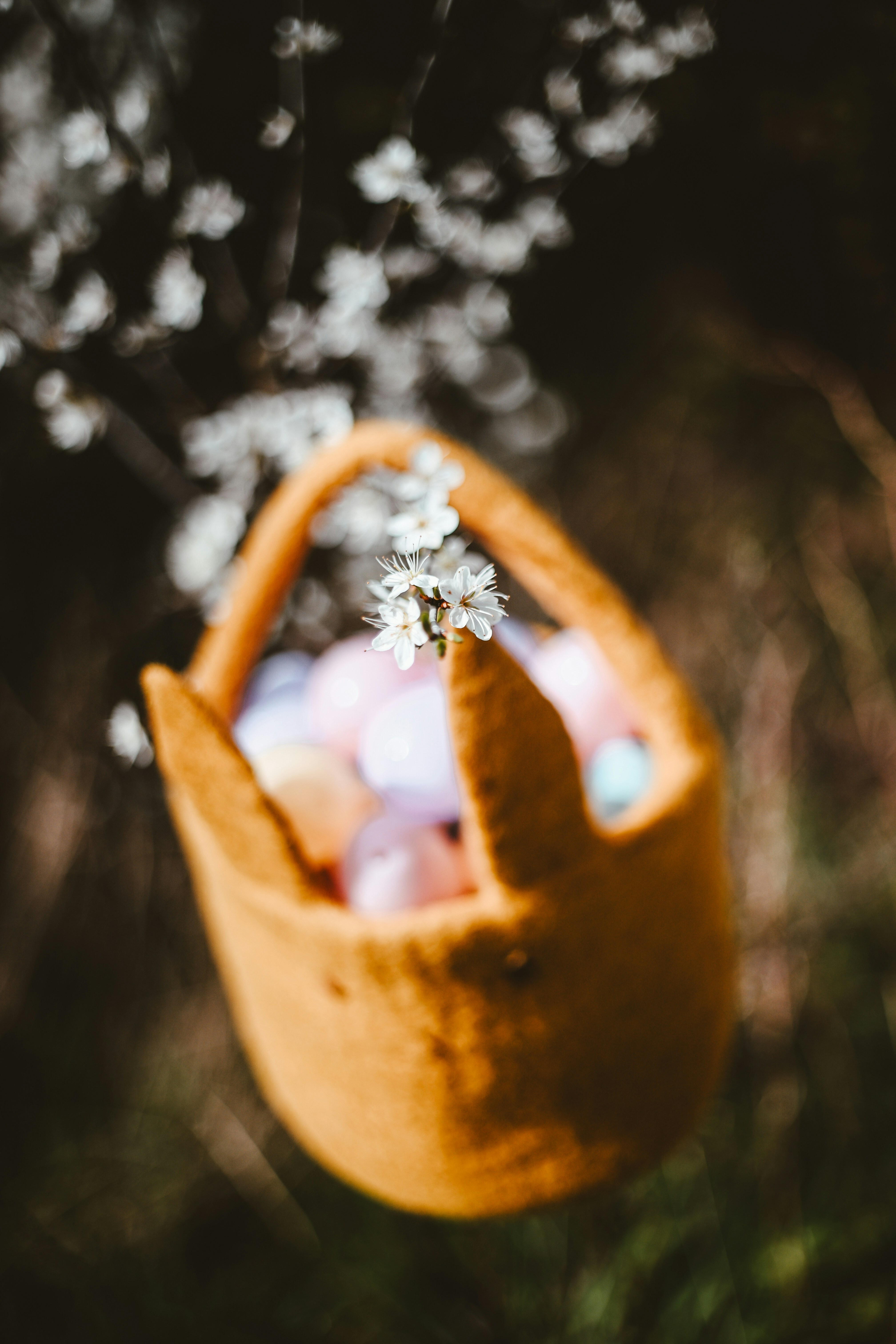 Easter basket with colorful eggs and white blossoms