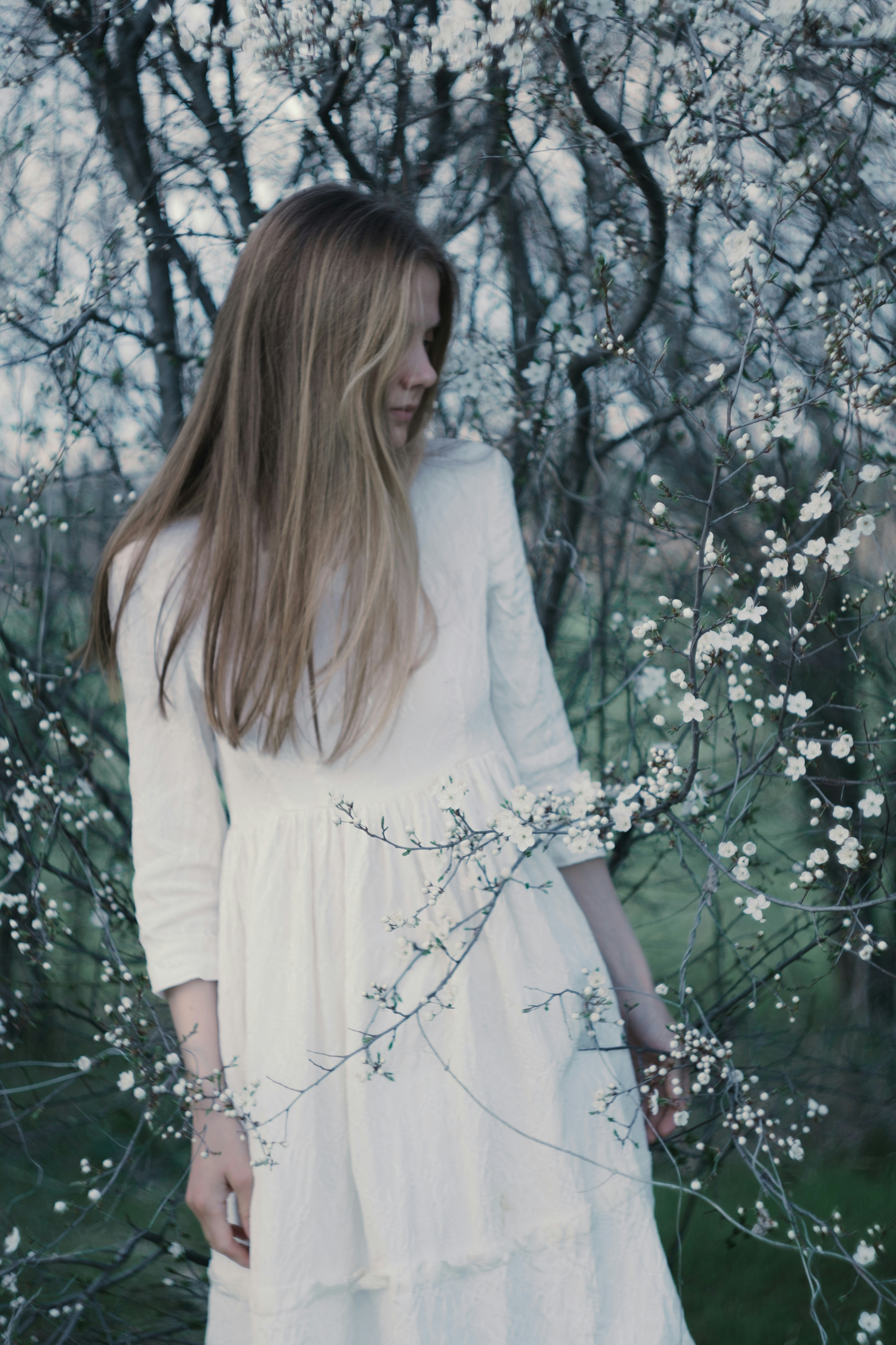Young woman in white dress surrounded by white blossoms