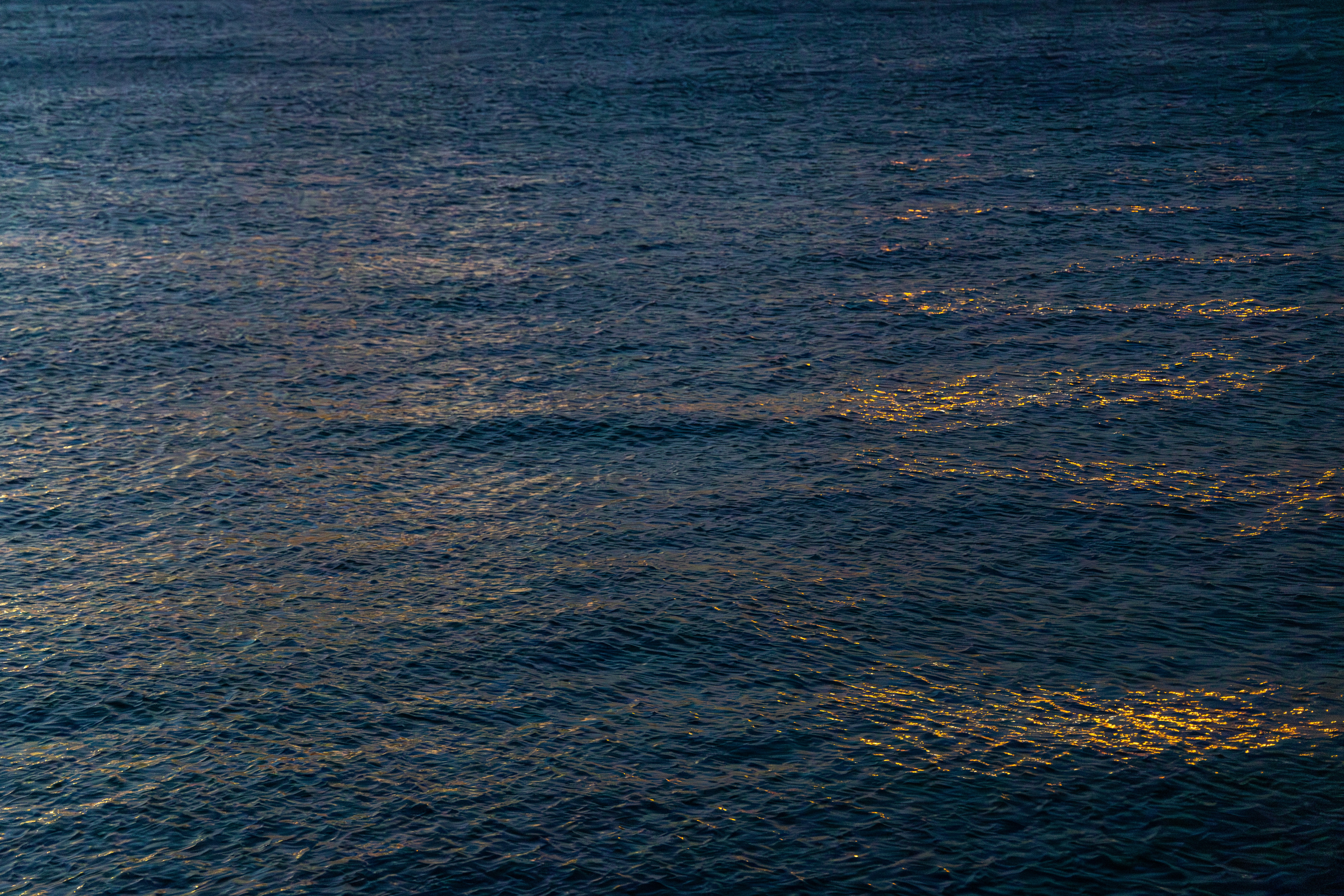 Photo by samarthkuls