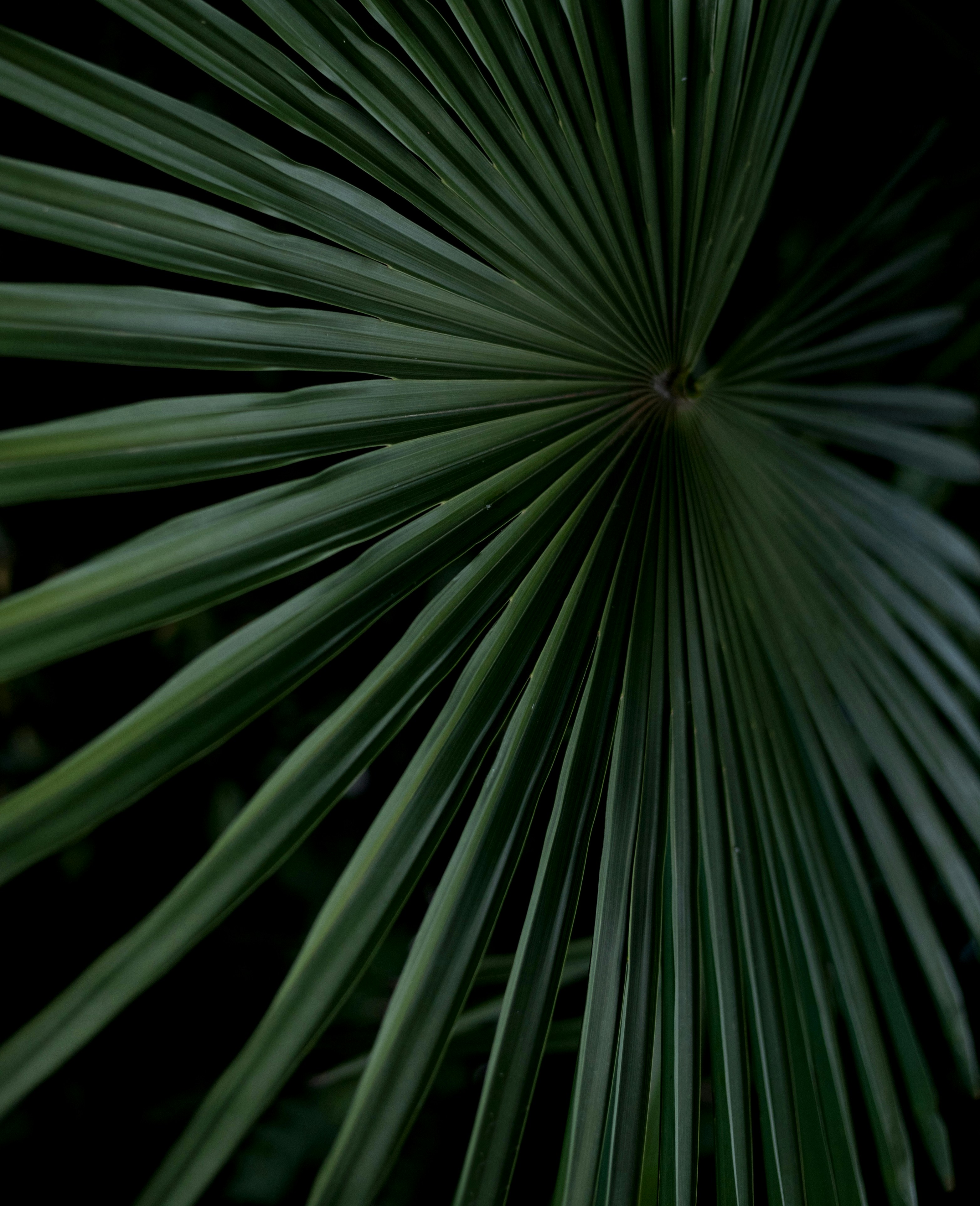 Photo by nadine_gern