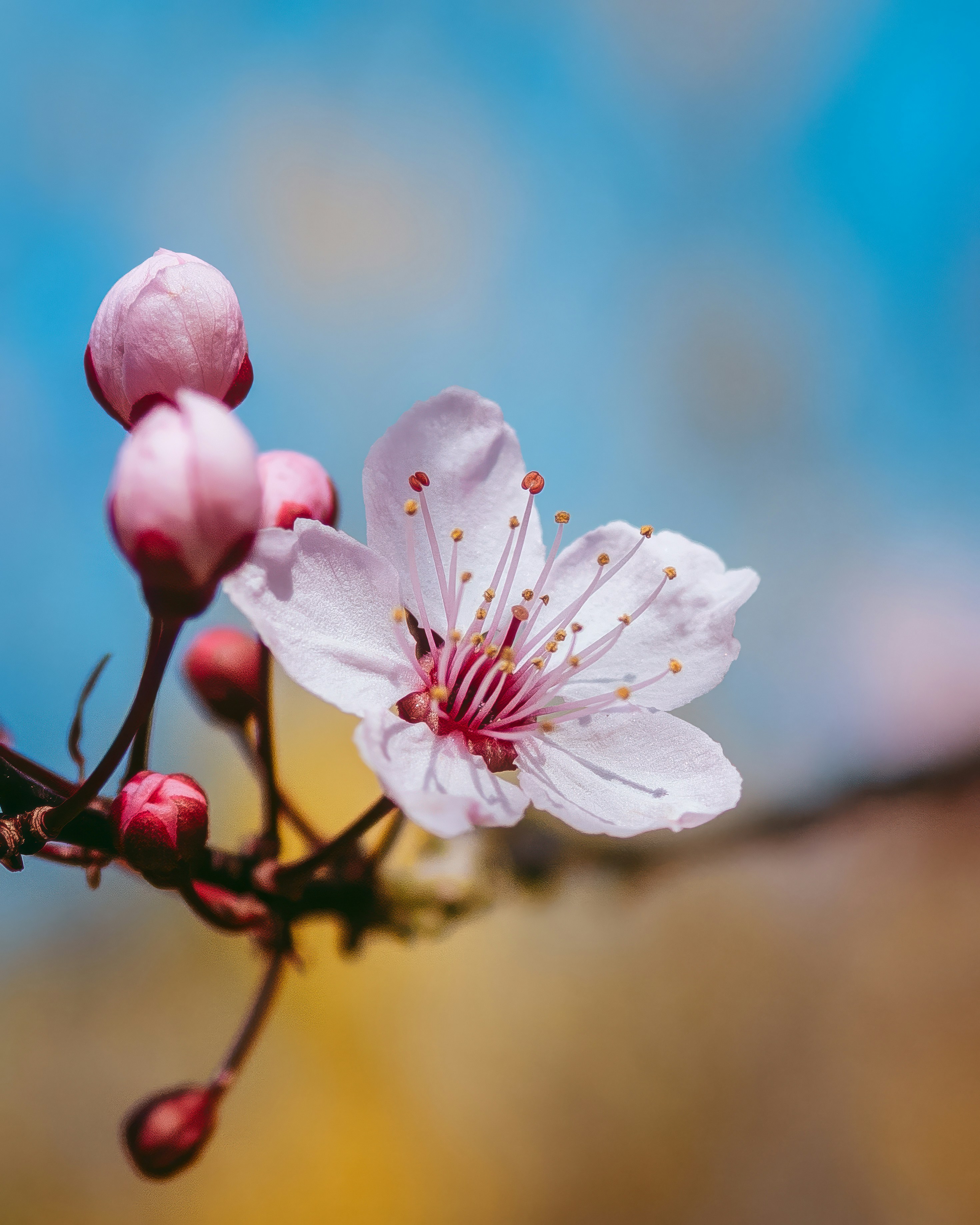 Photo by sinusfiction