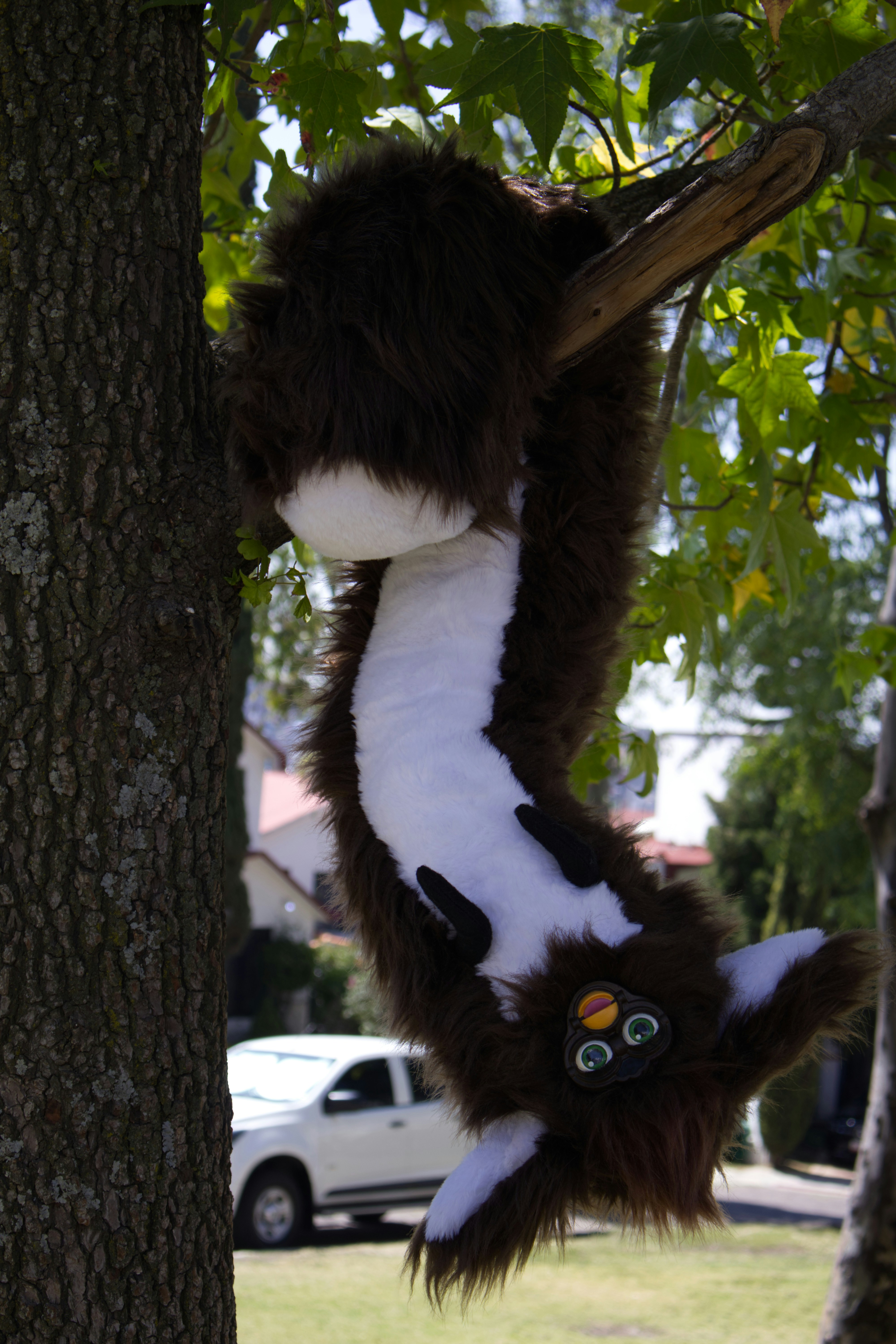 Brown furry toy hanging upside down from tree branch
