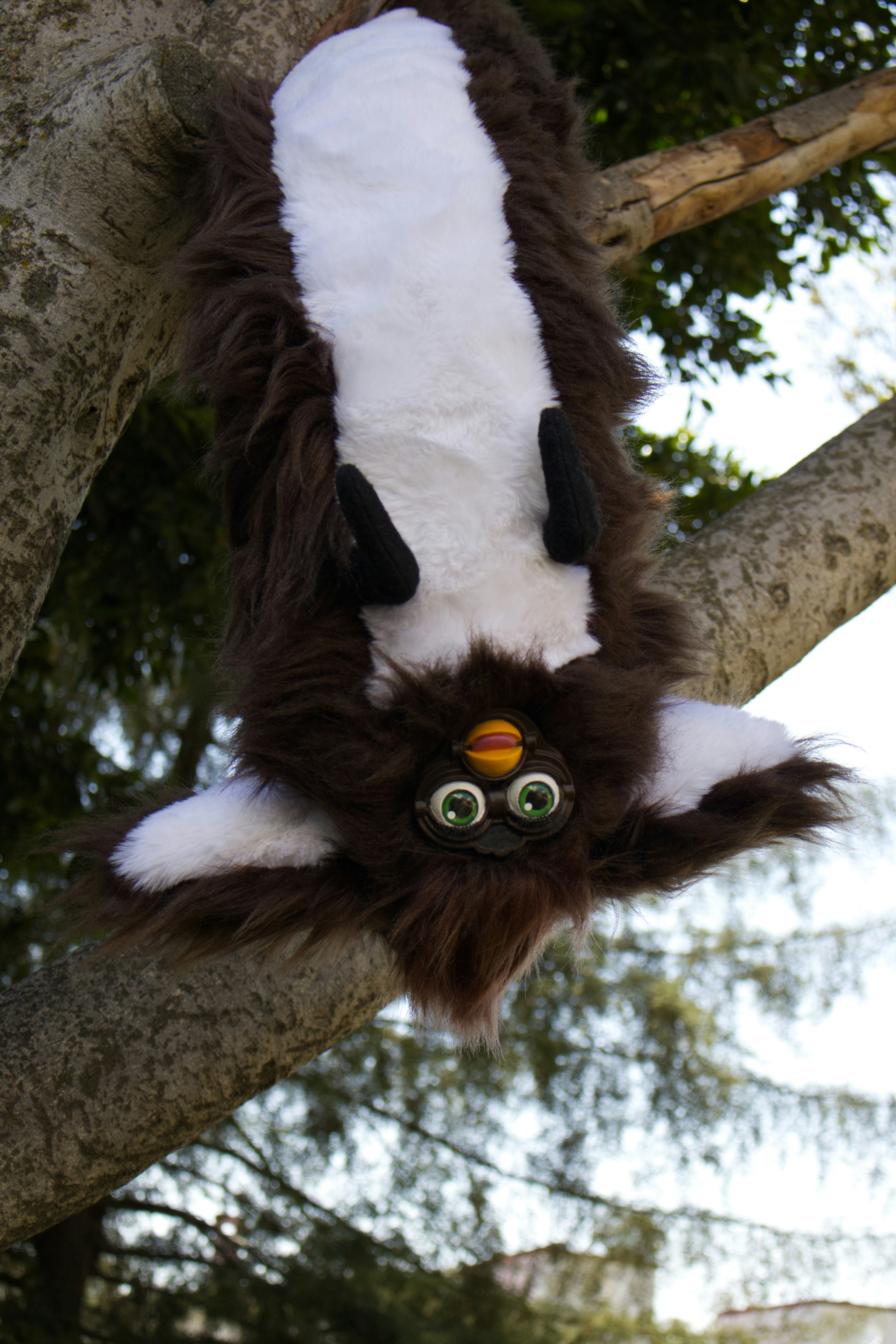 A fluffy toy hangs upside down from a tree branch.