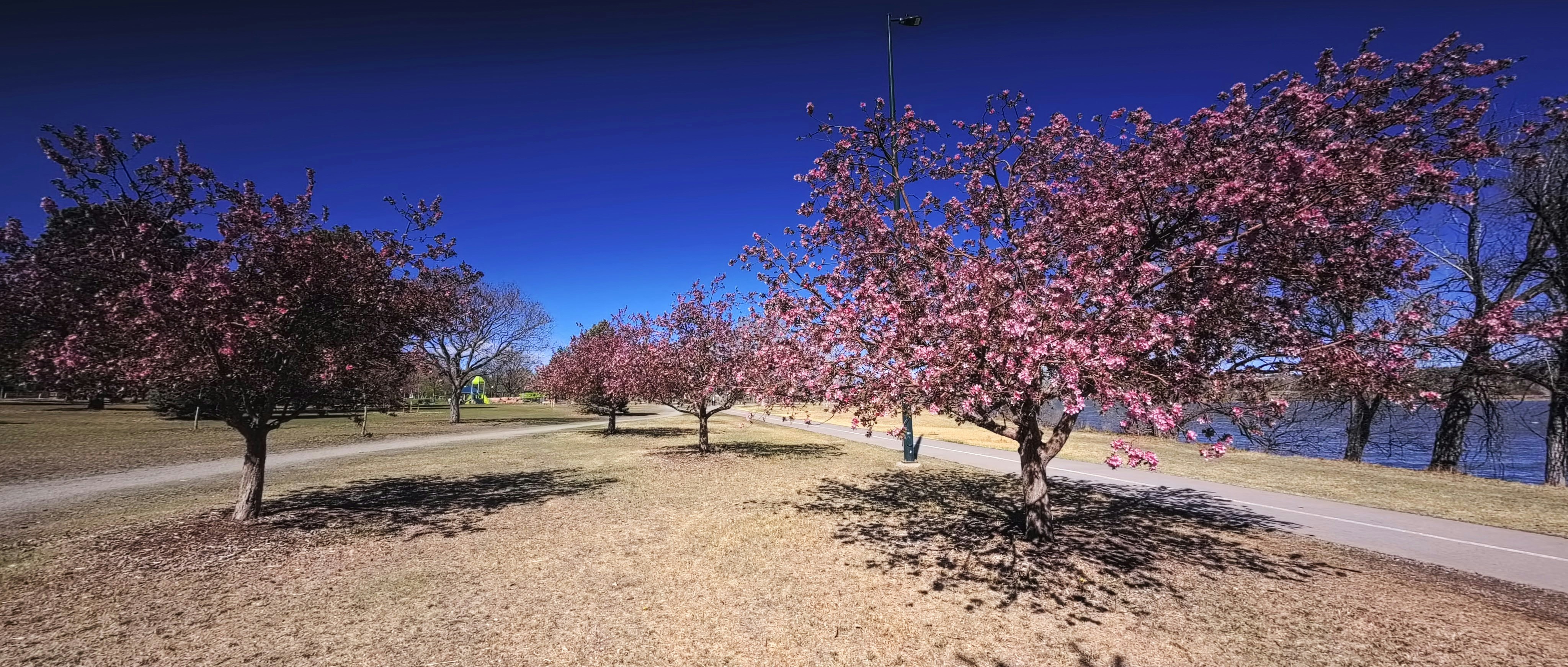 Cleland Park
