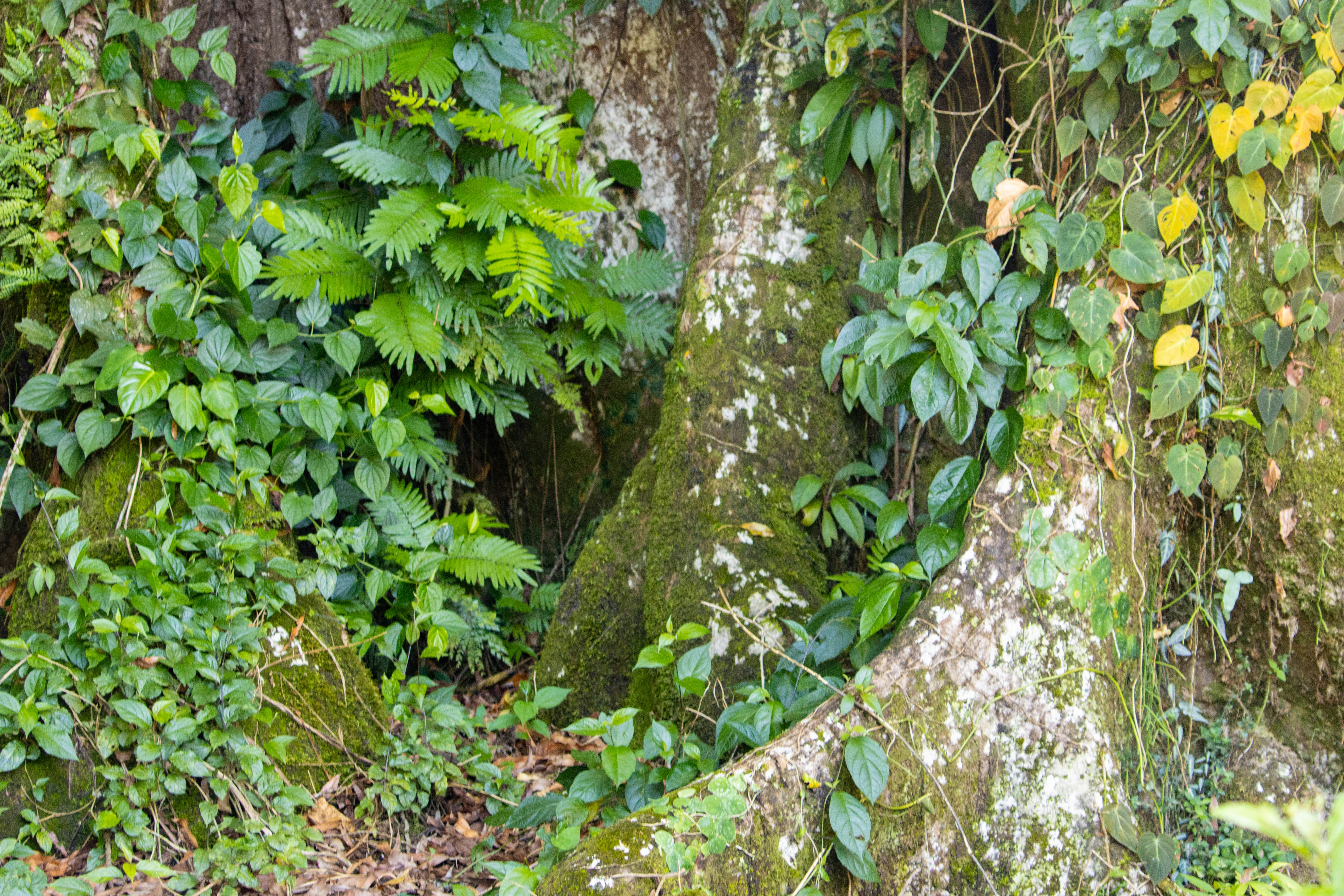 Photo by sonianadales