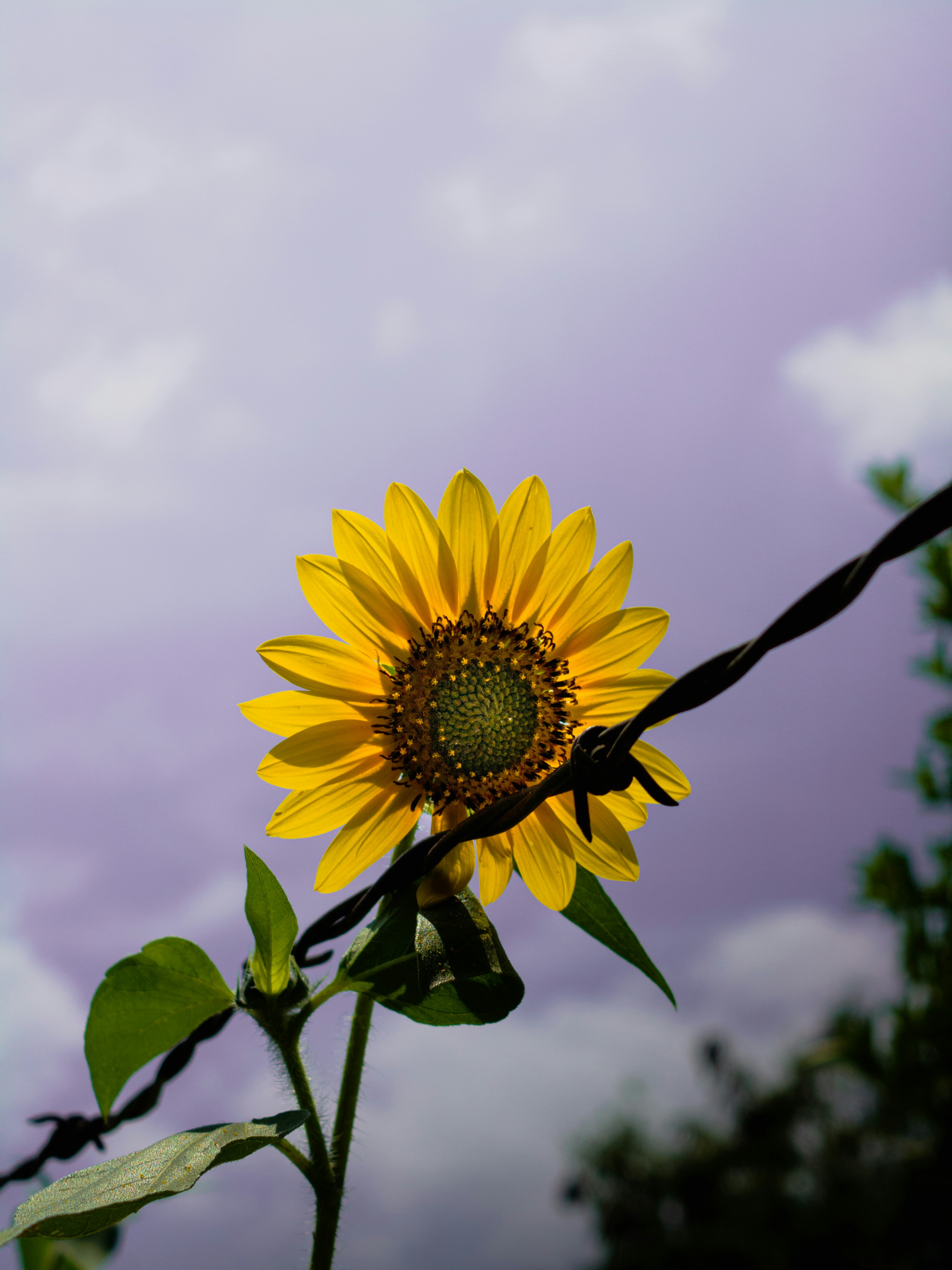 Photo by benyi_ortiz