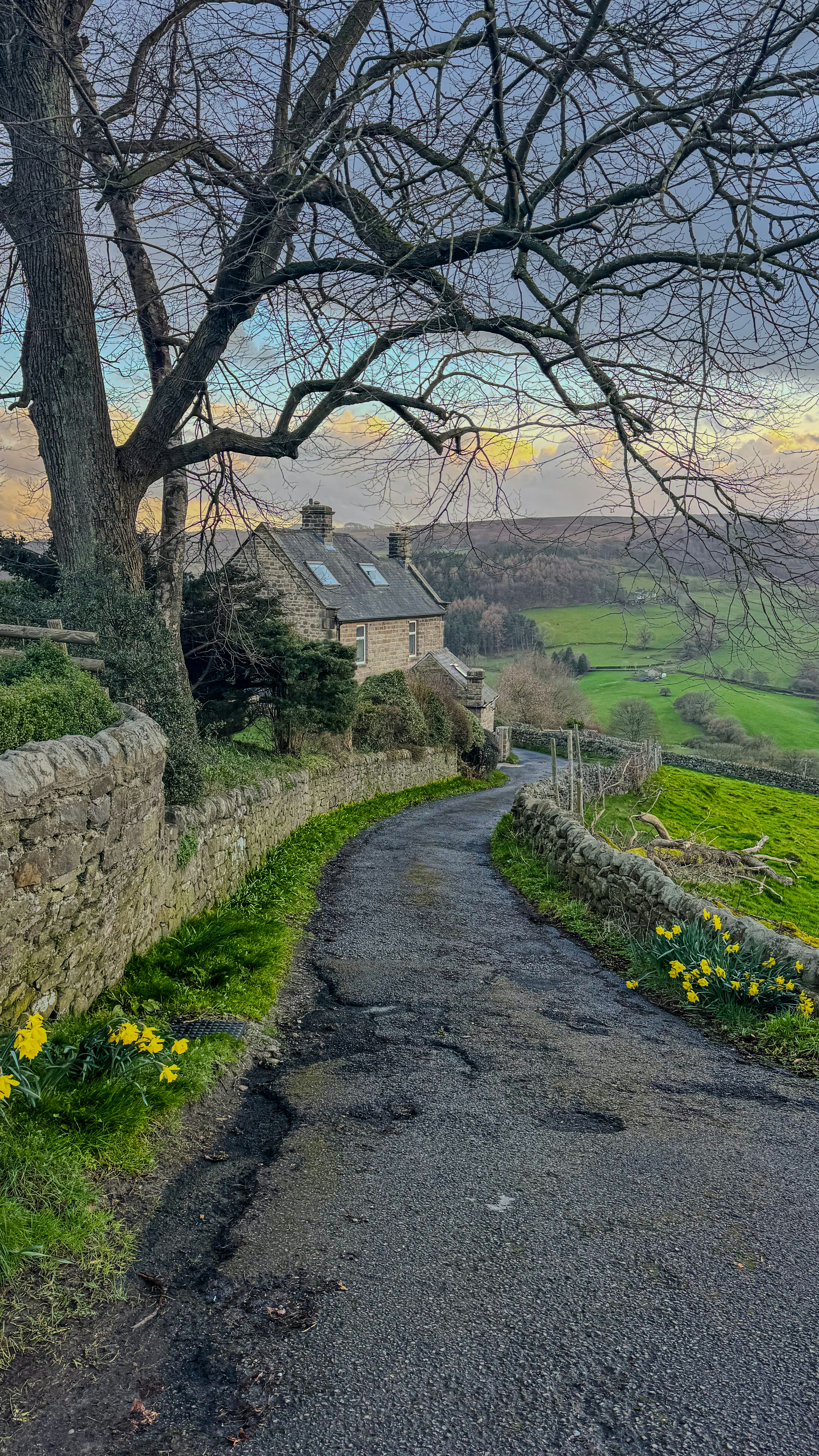 Una casa di pietra si trova accanto a una strada di campagna tortuosa.