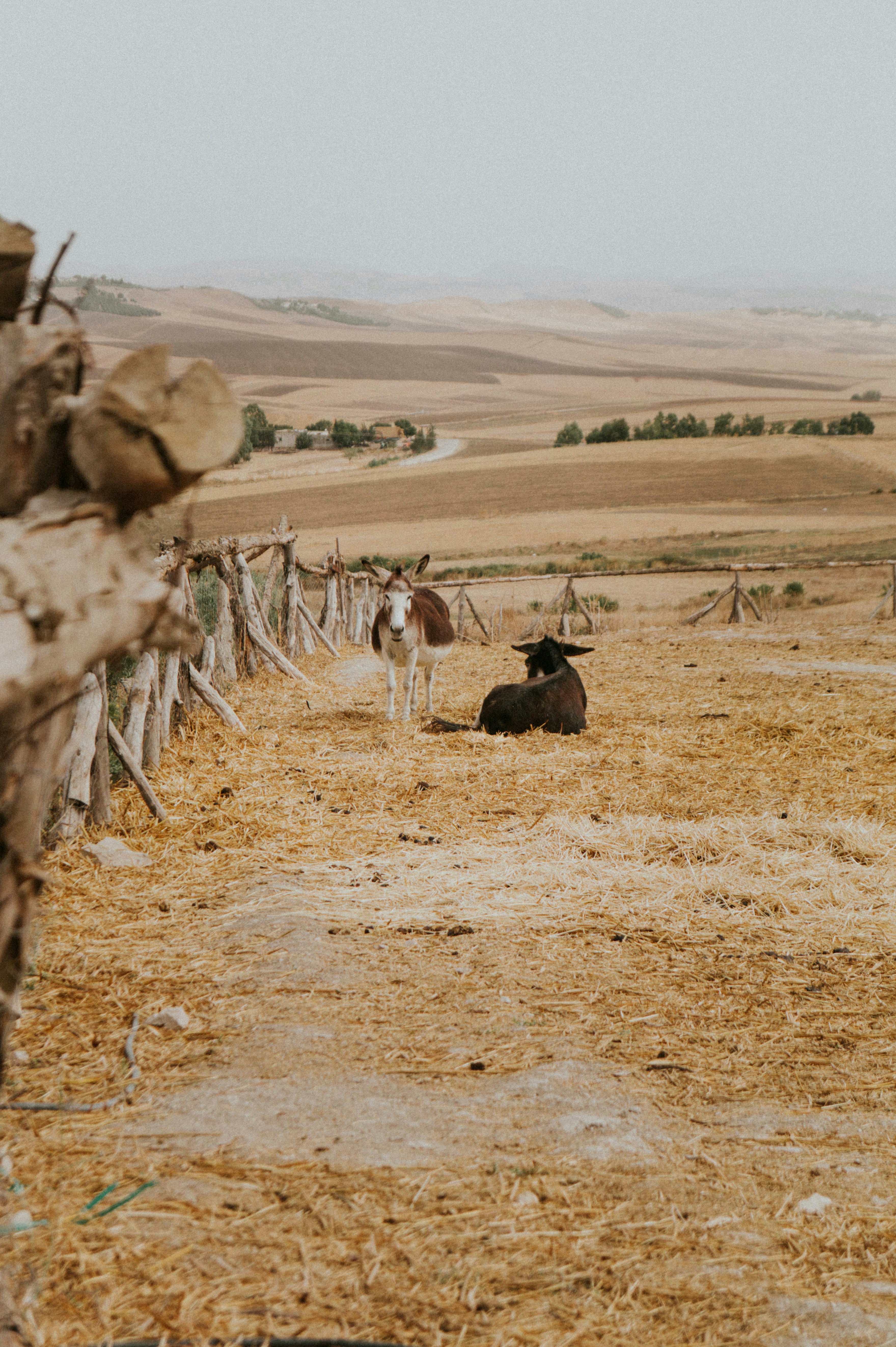 Photo by awebarouni