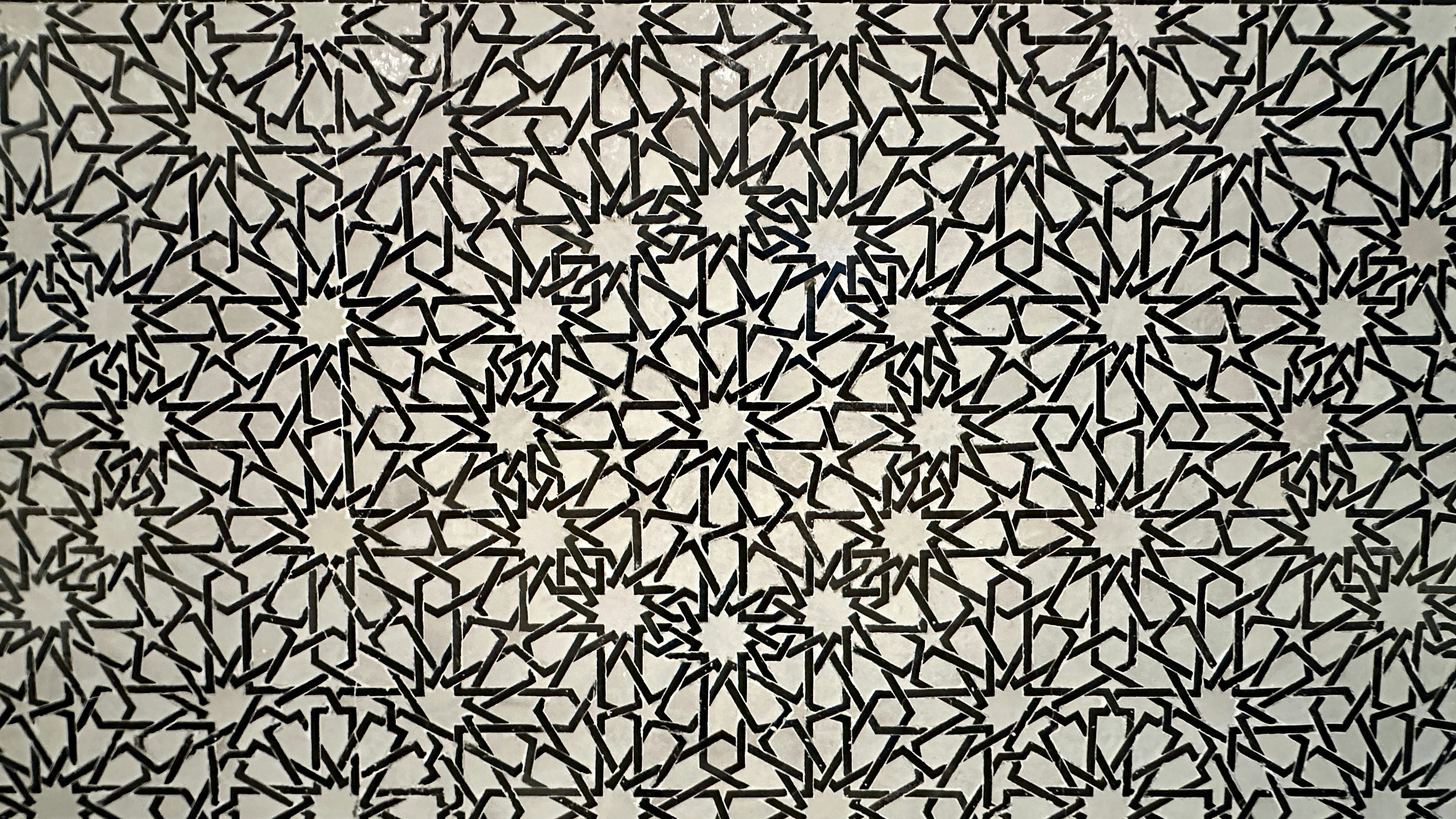 Intricate geometric pattern in black and white.