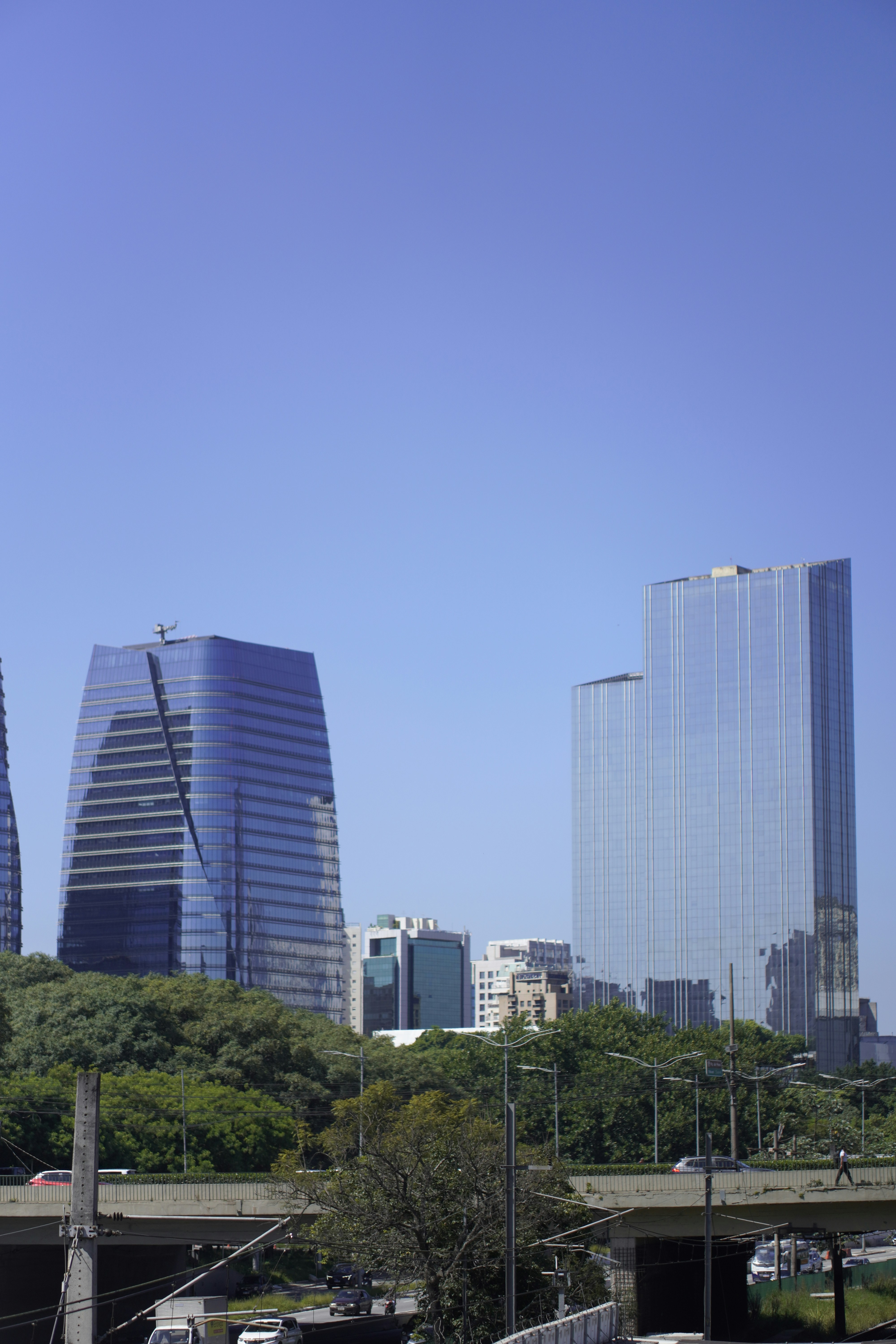 Modern glass skyscrapers rise above a lush green park.