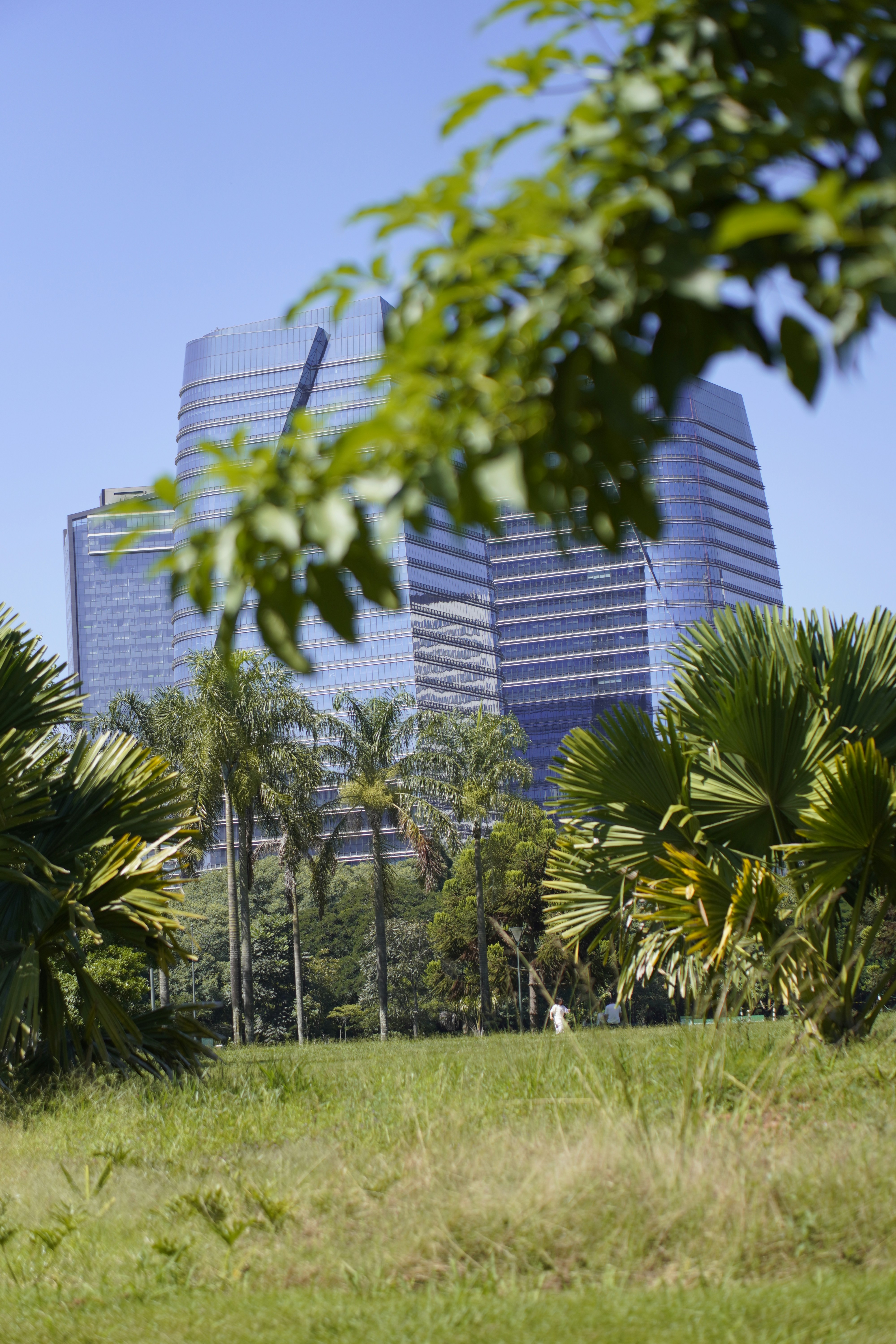 Modern glass building behind lush green trees