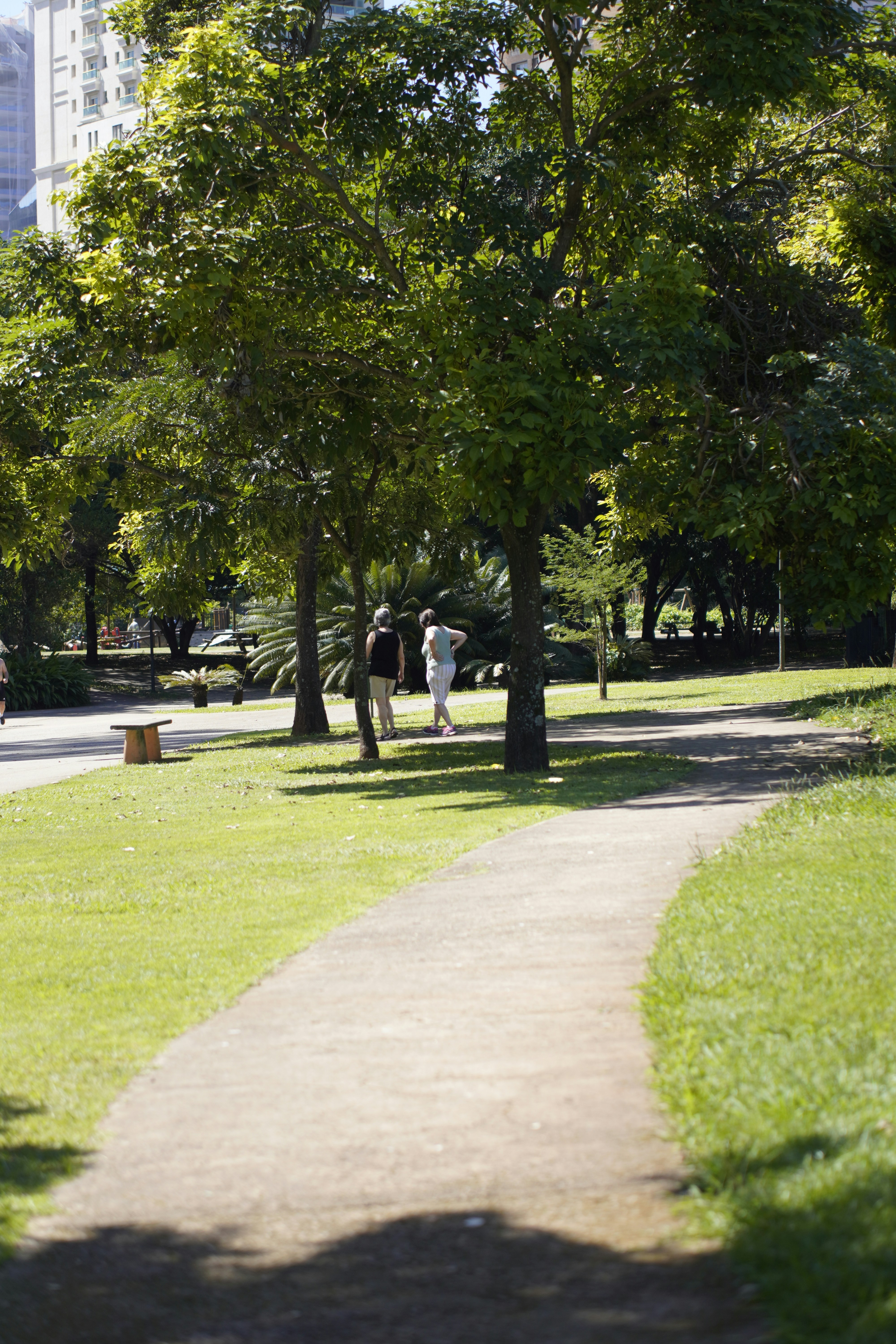 Photo by viniciusnevescosta