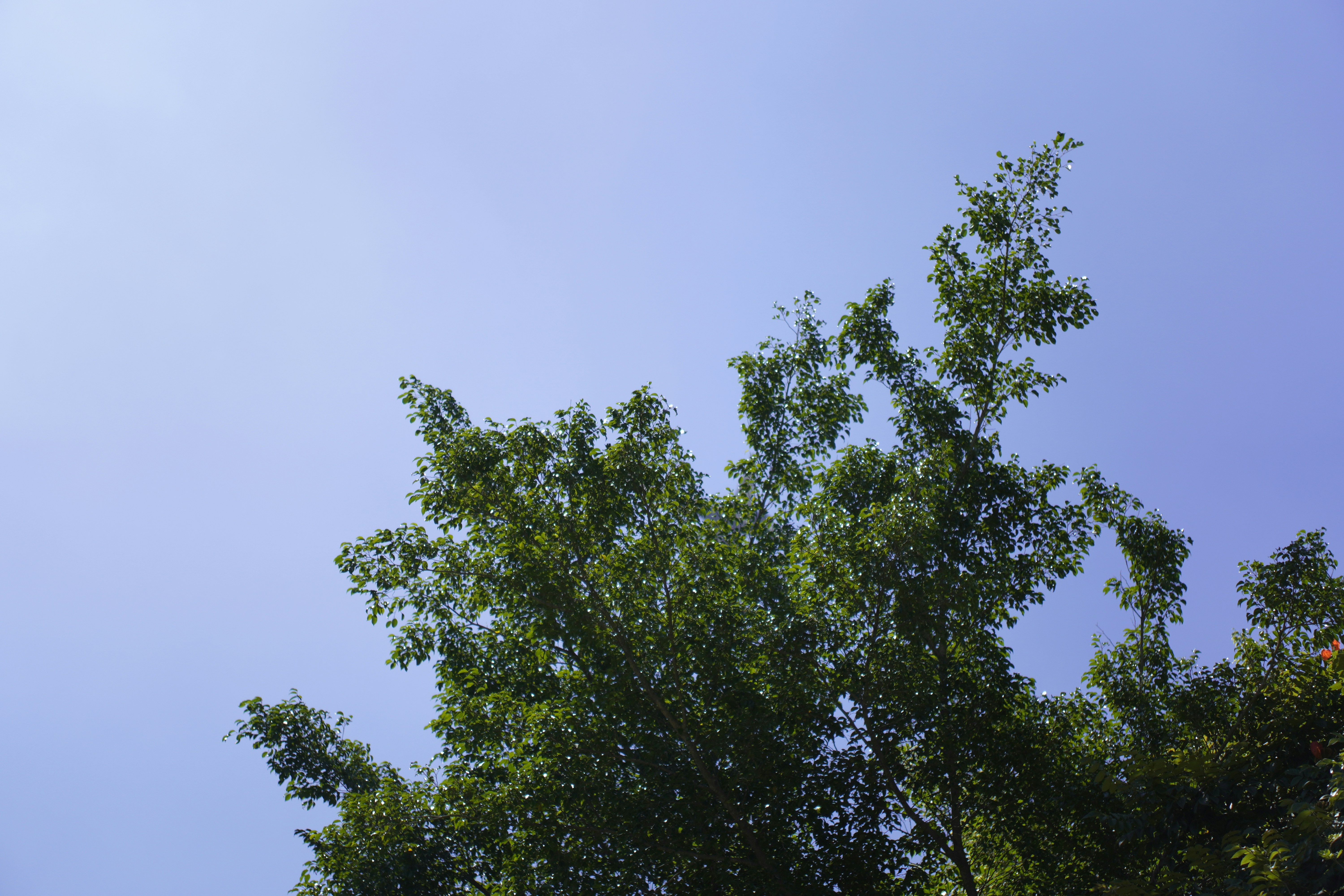 Photo by viniciusnevescosta