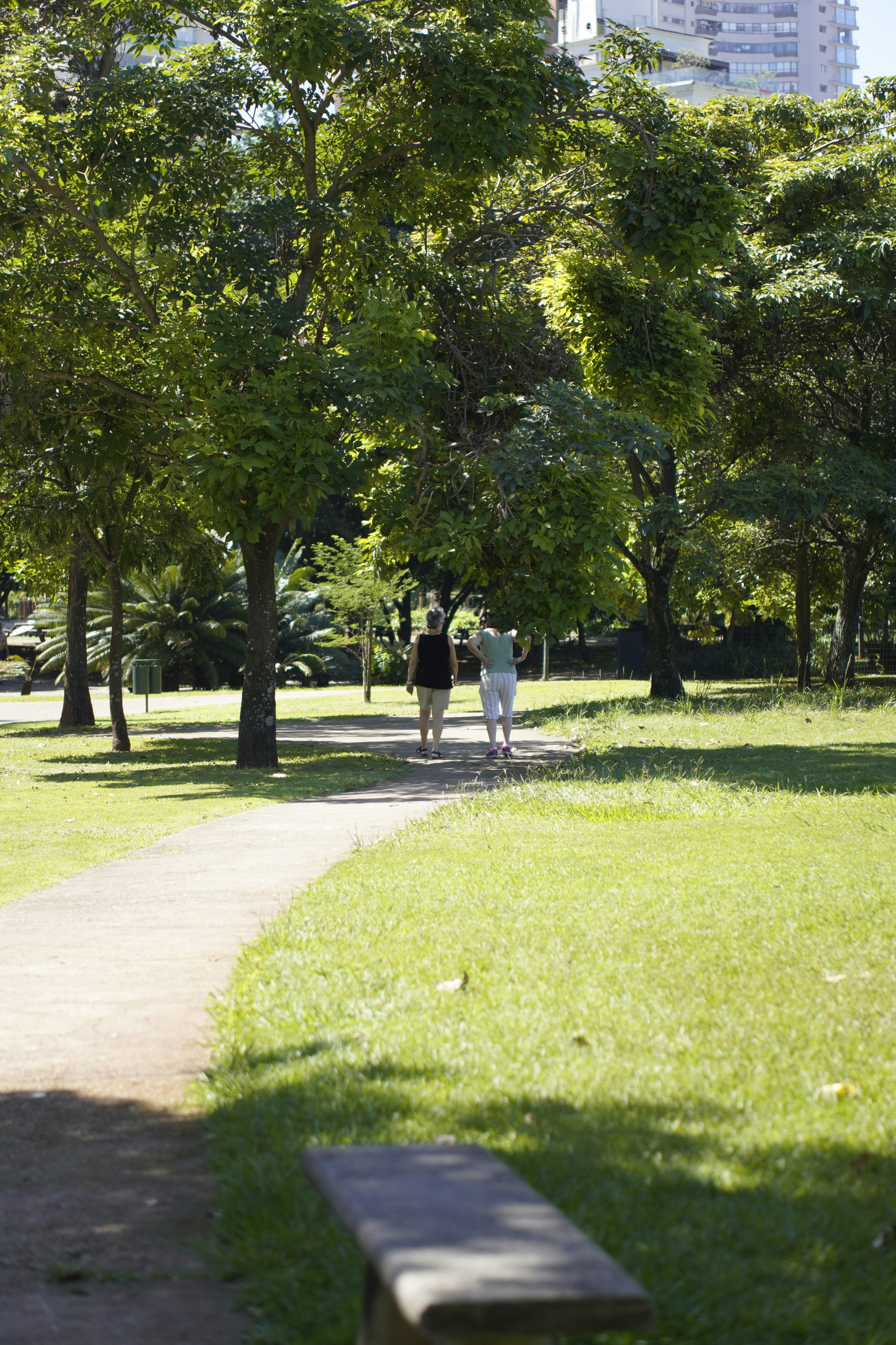 Photo by viniciusnevescosta