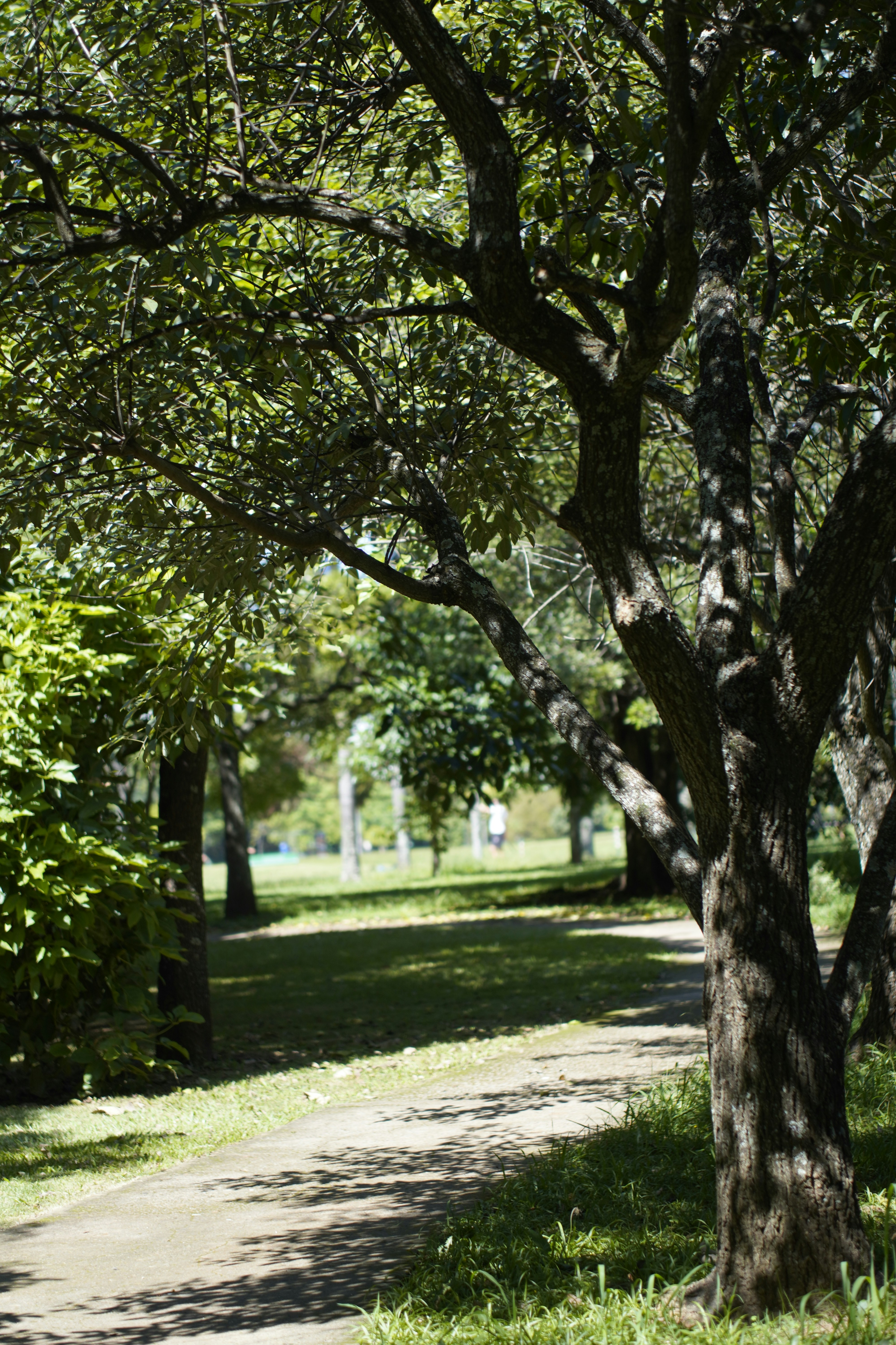 Photo by viniciusnevescosta