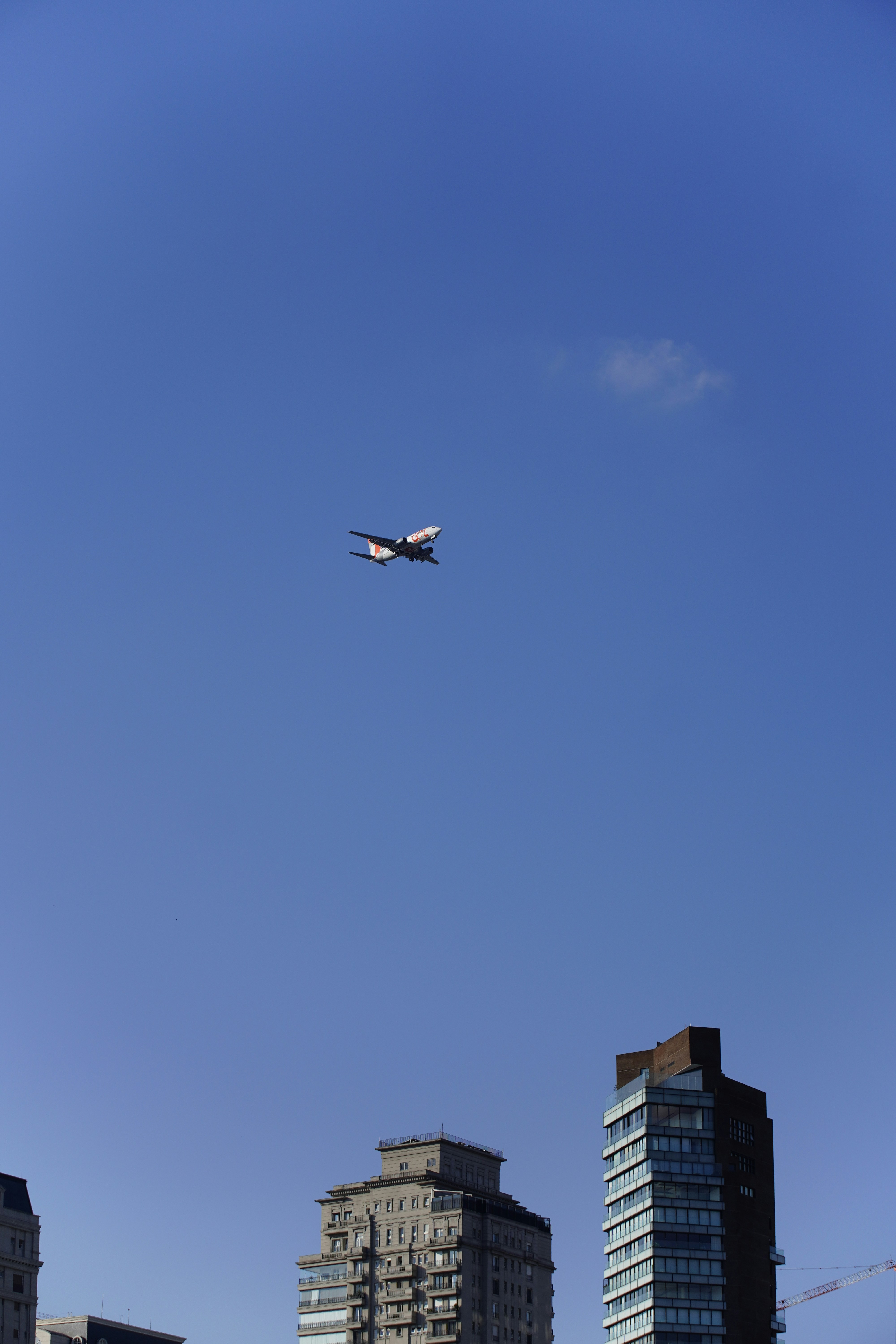 澄んだ青空の下、都市の建物の上を飛行する飛行機