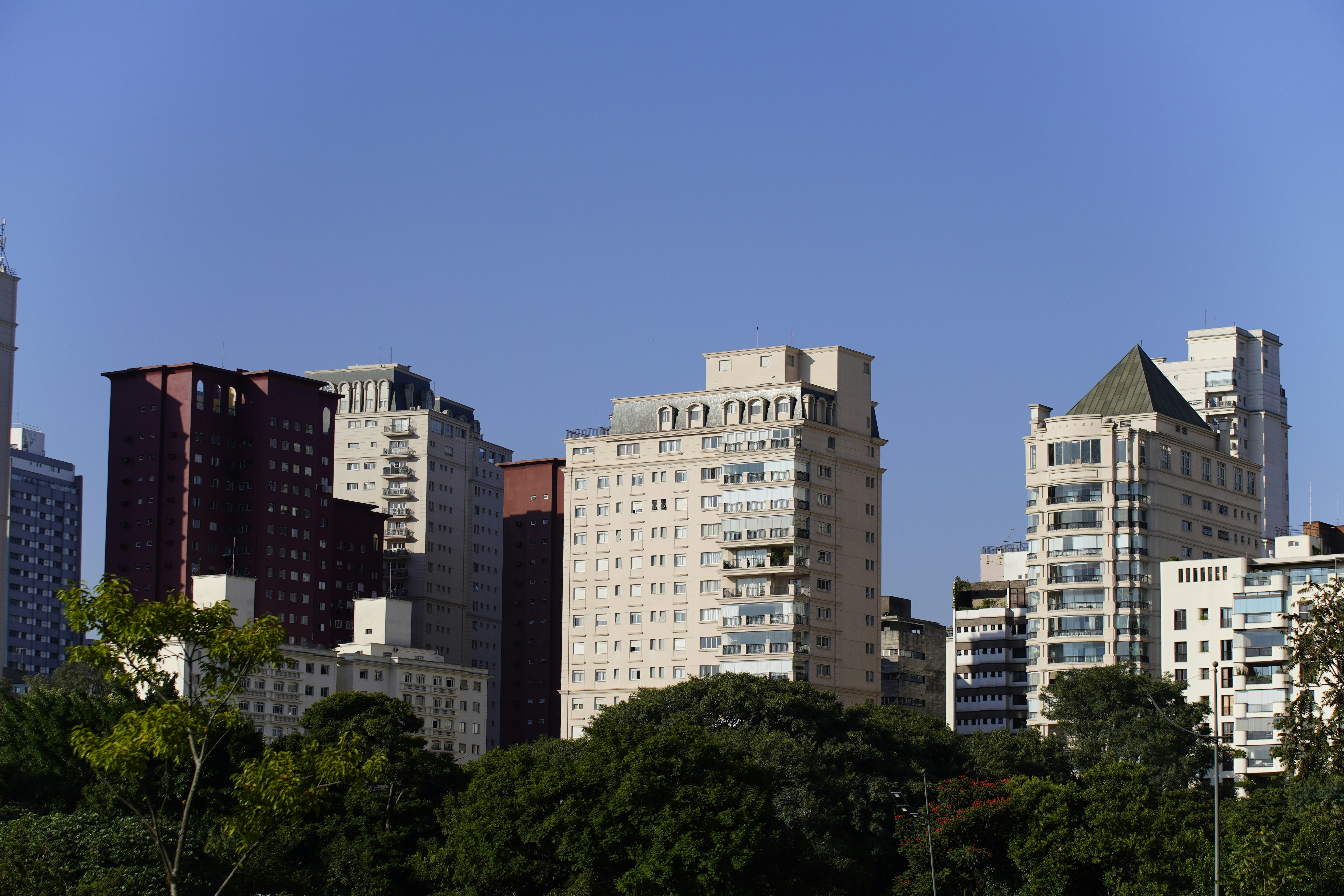 Skyscrapers and trees under a clear blue sky.