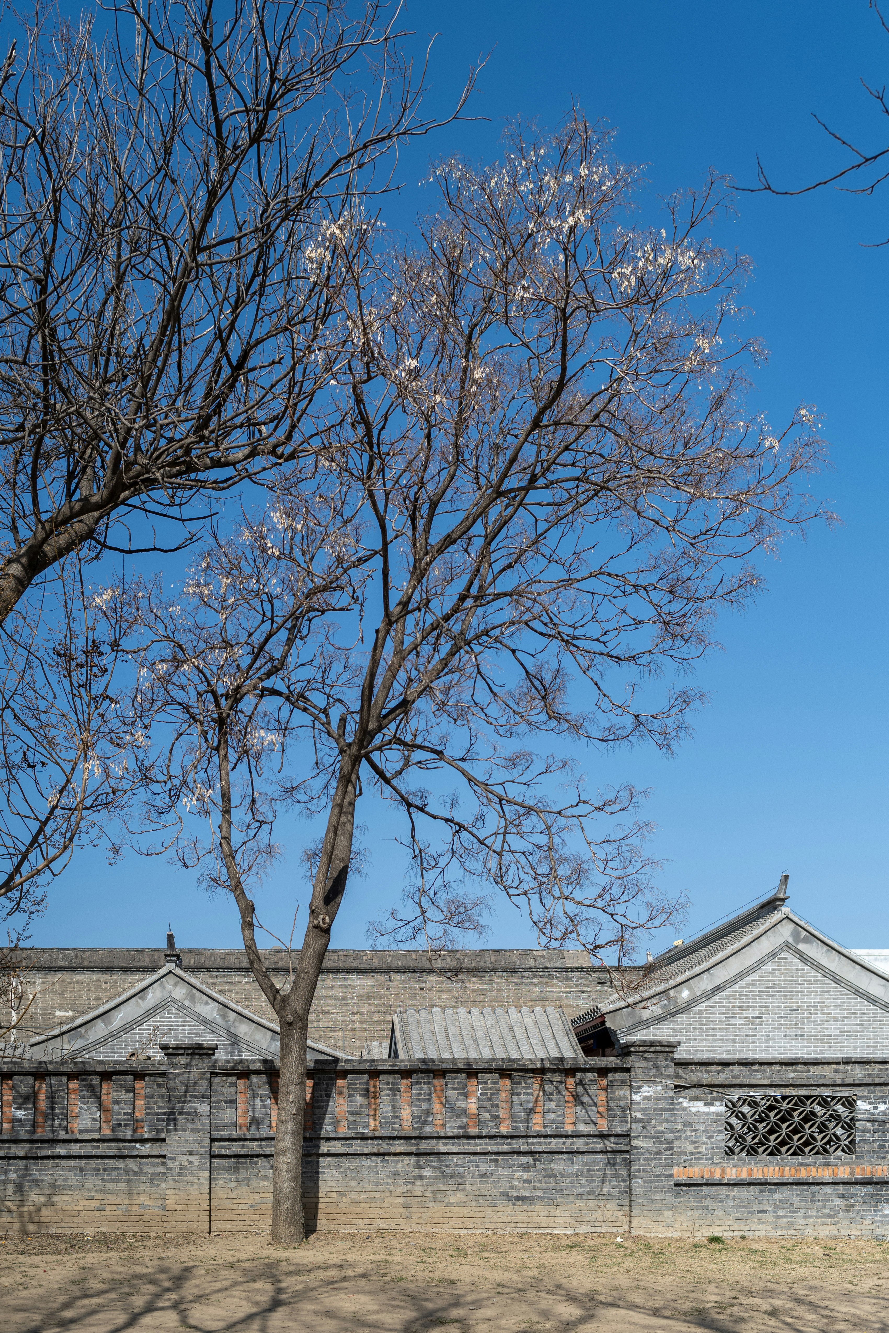 Photo by tommaomaoer