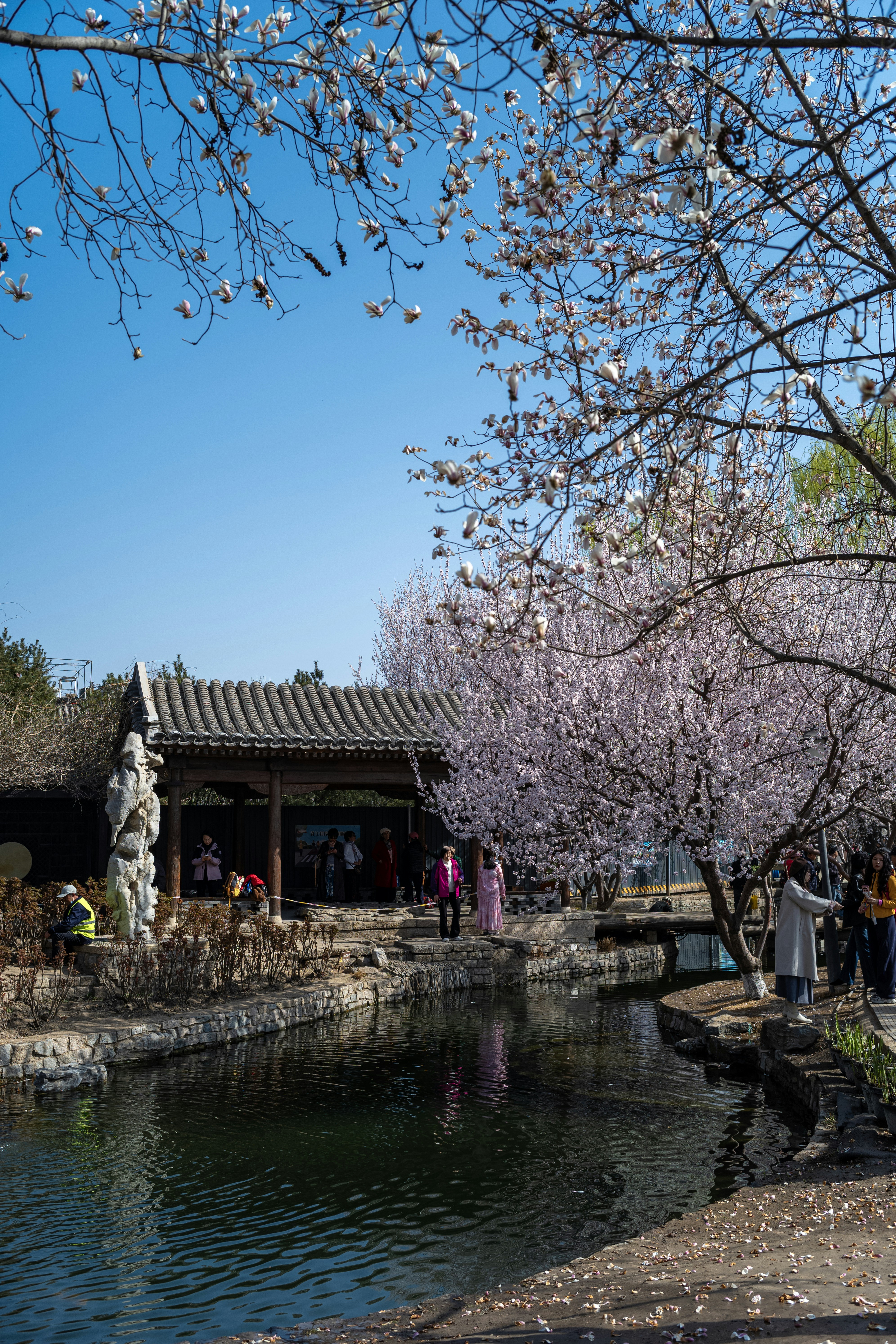 Photo by tommaomaoer