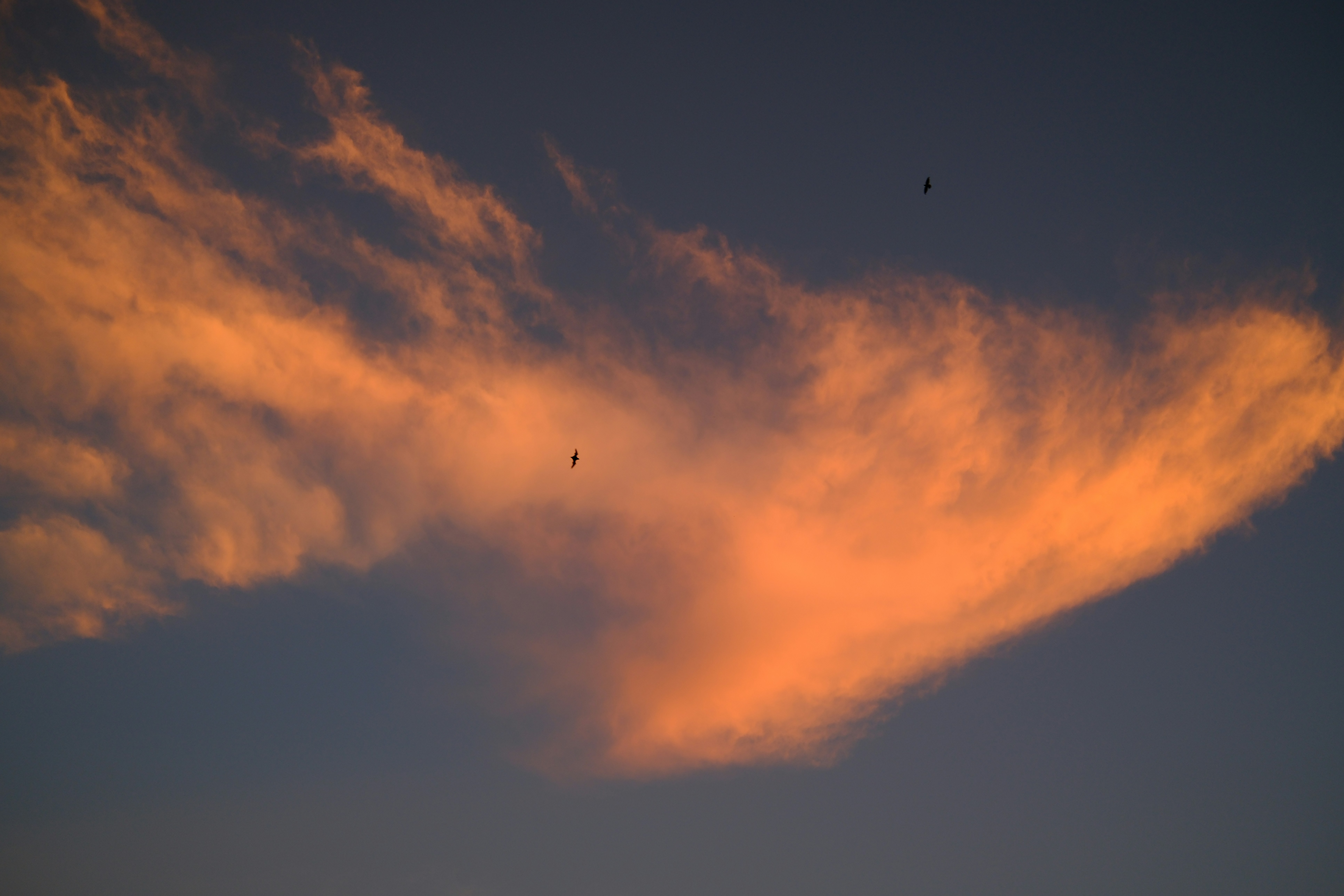 Orange clouds illuminated by sunset light against dark sky