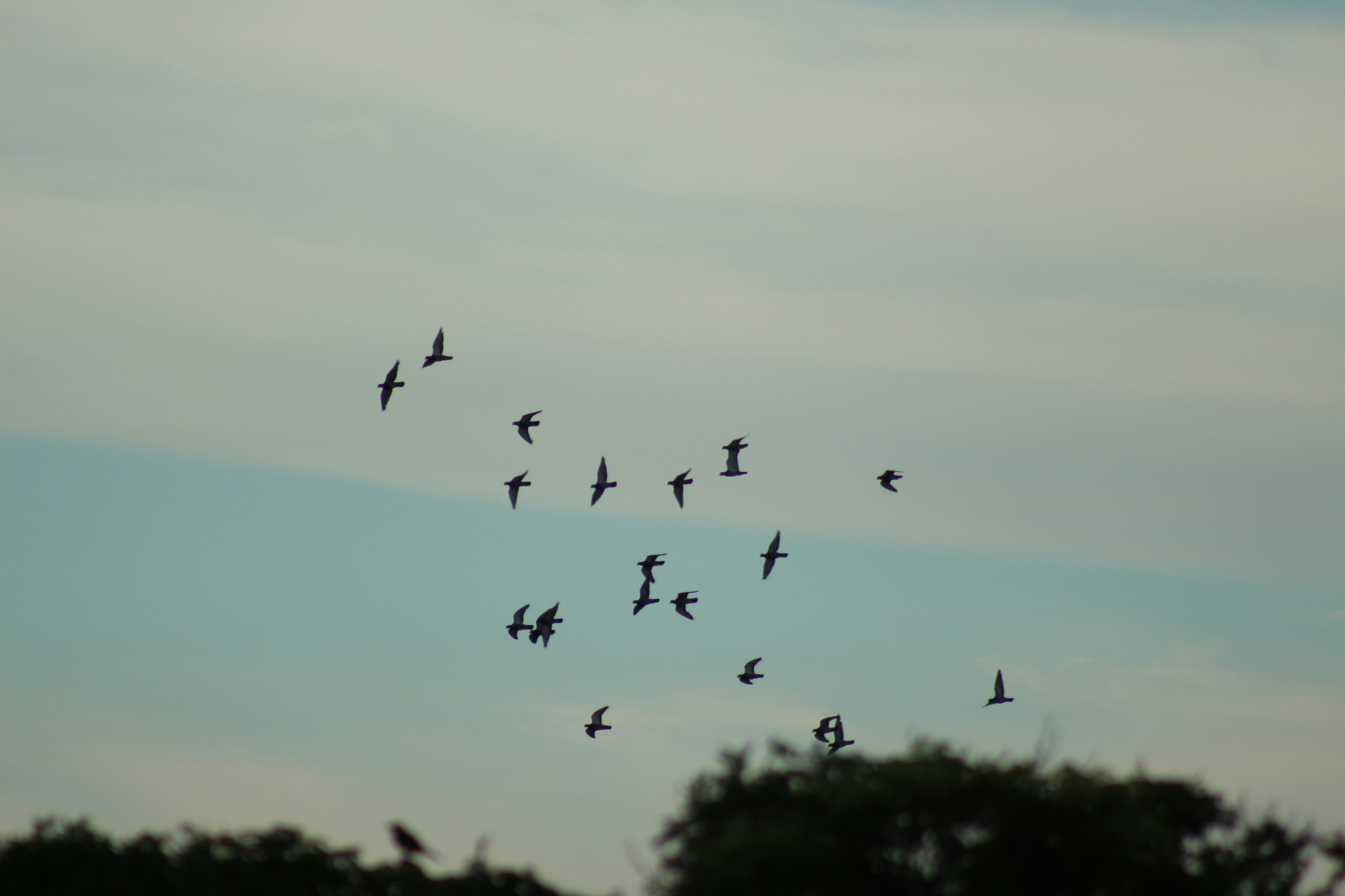 The 15-Minute Coaching Habit That Improves Follow-Through