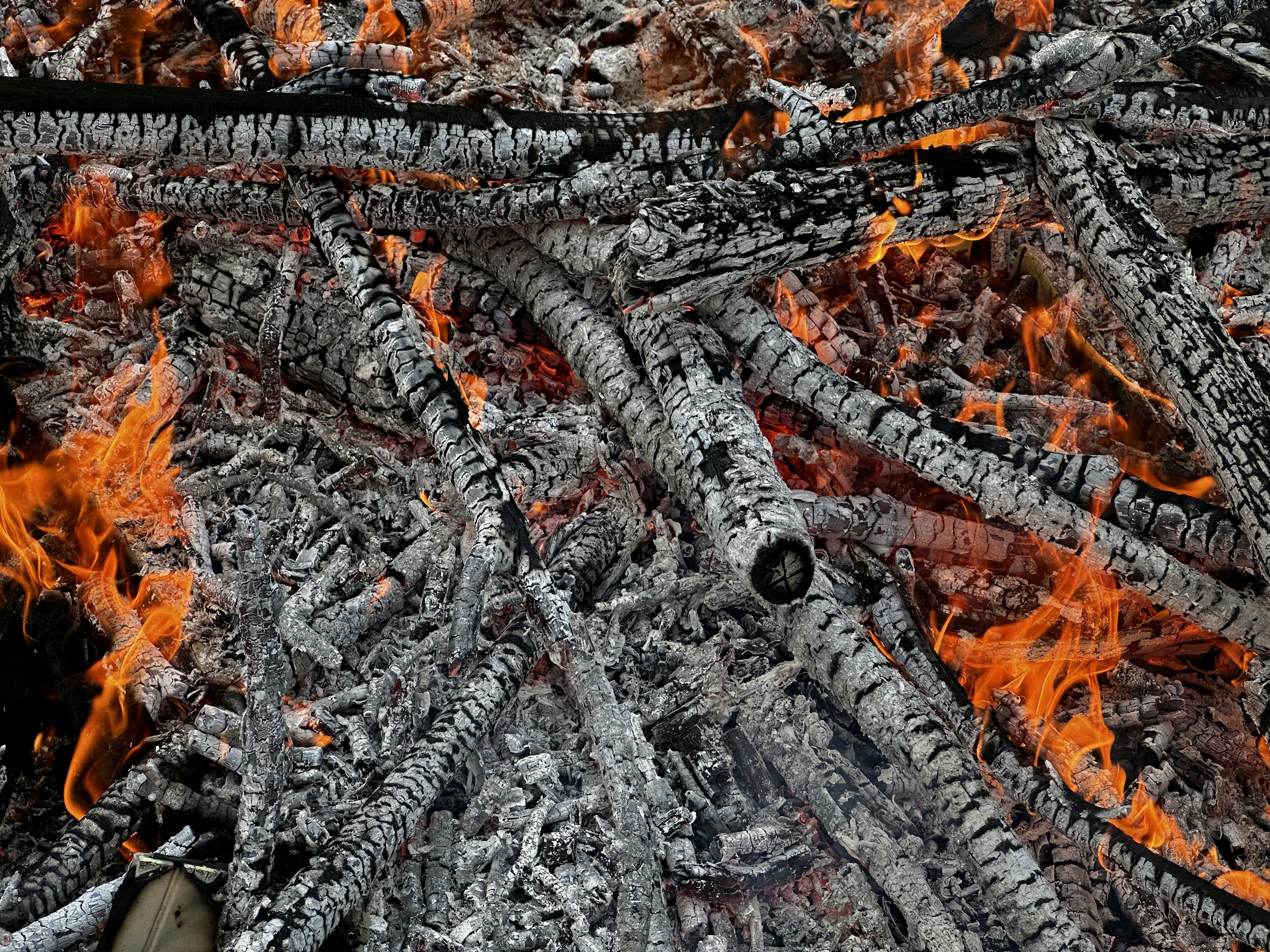 Brasas y cenizas ardiendo de una hoguera
