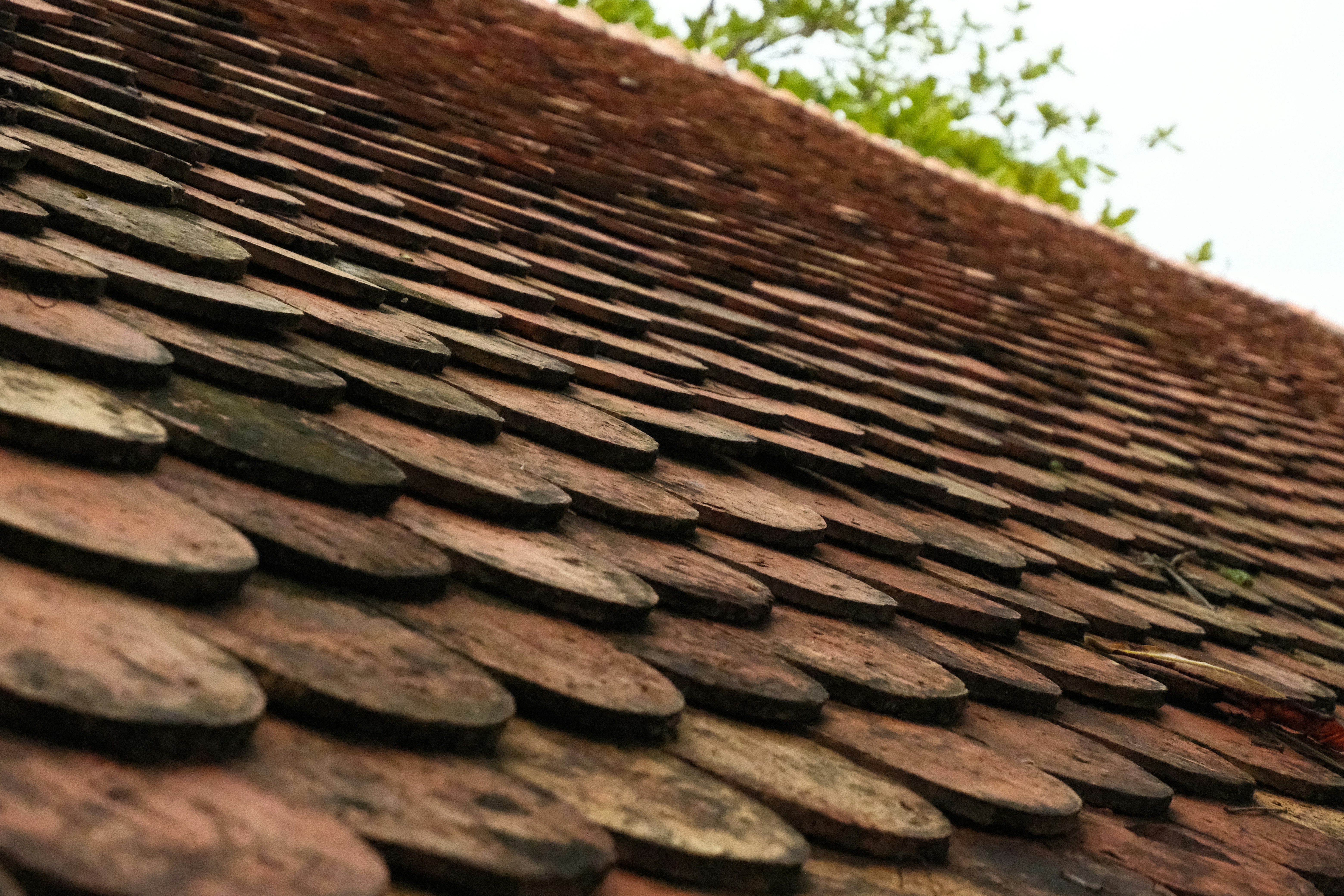 Close-up of weathered terracotta roof tiles
