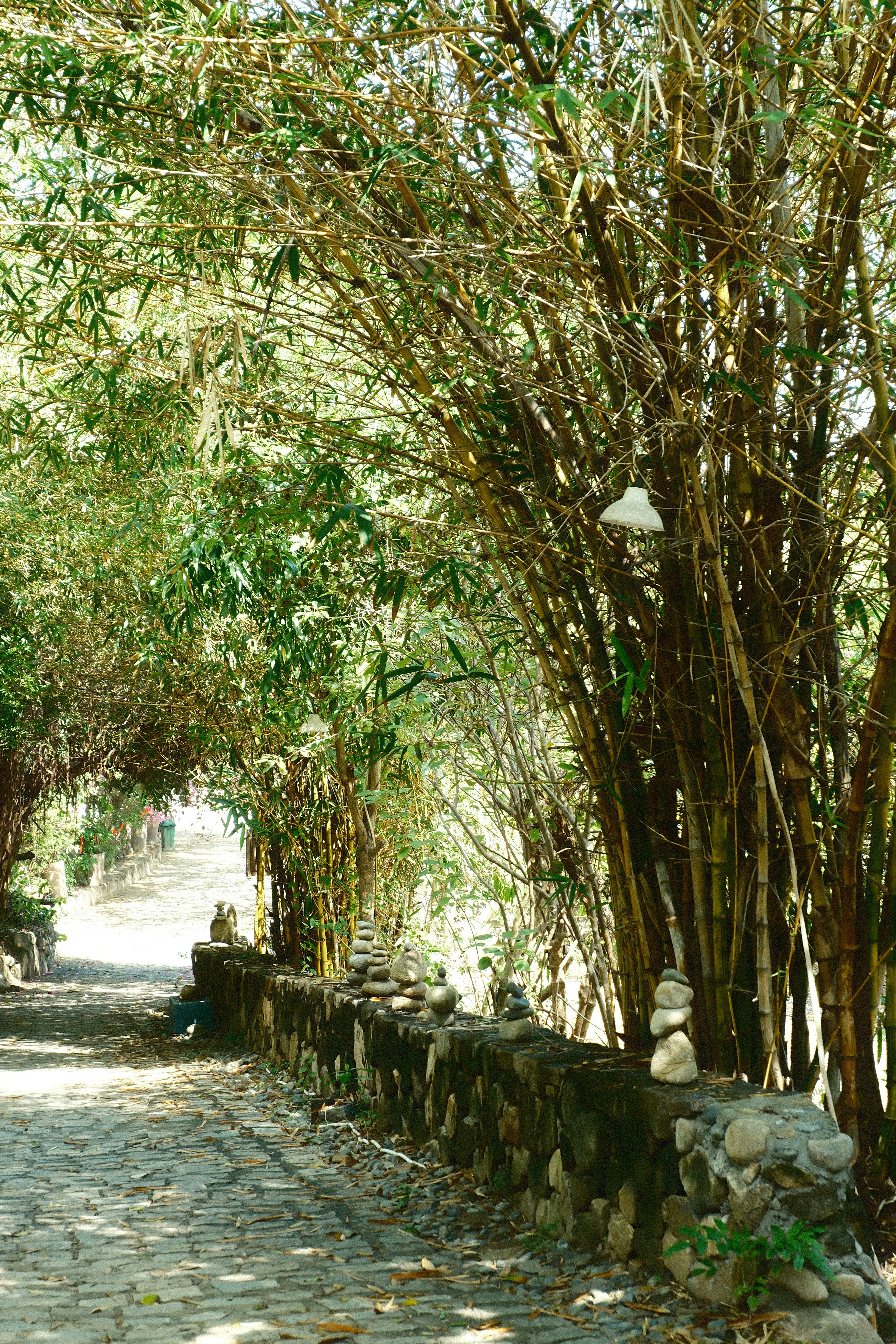 Photo by natalienpngoc