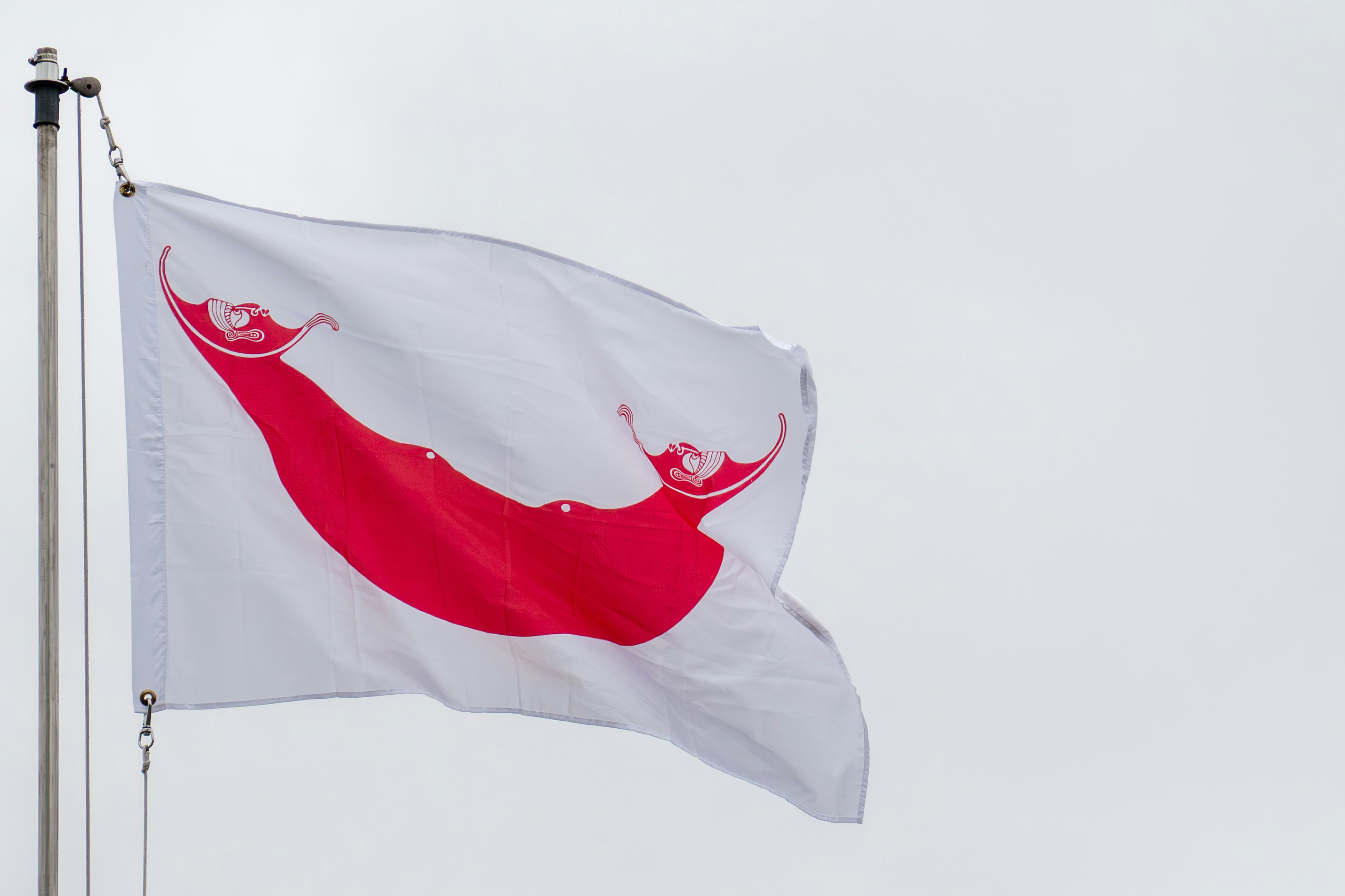 White flag with red symbol waving on flagpole