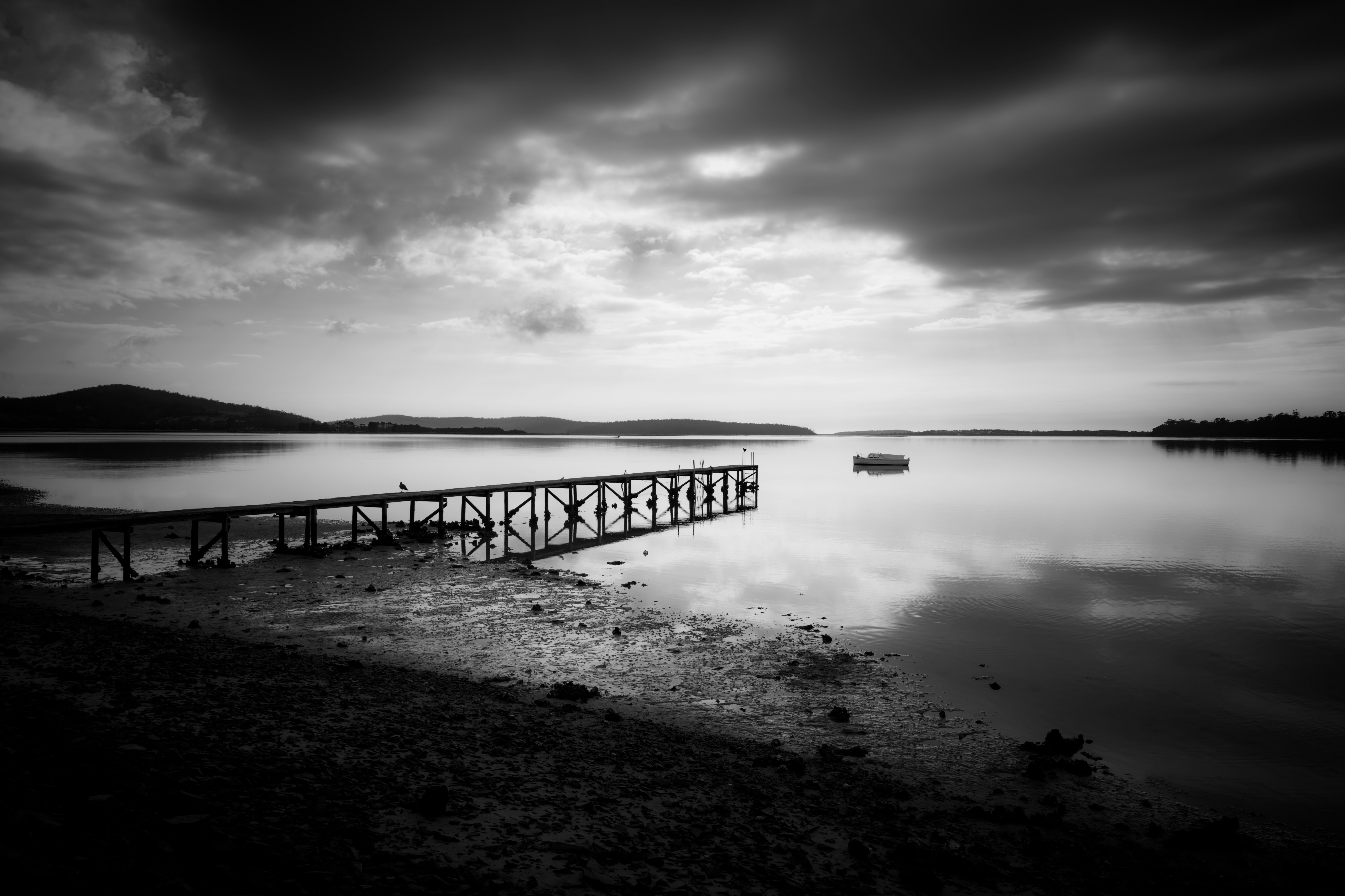 Photo by photoeightyeight