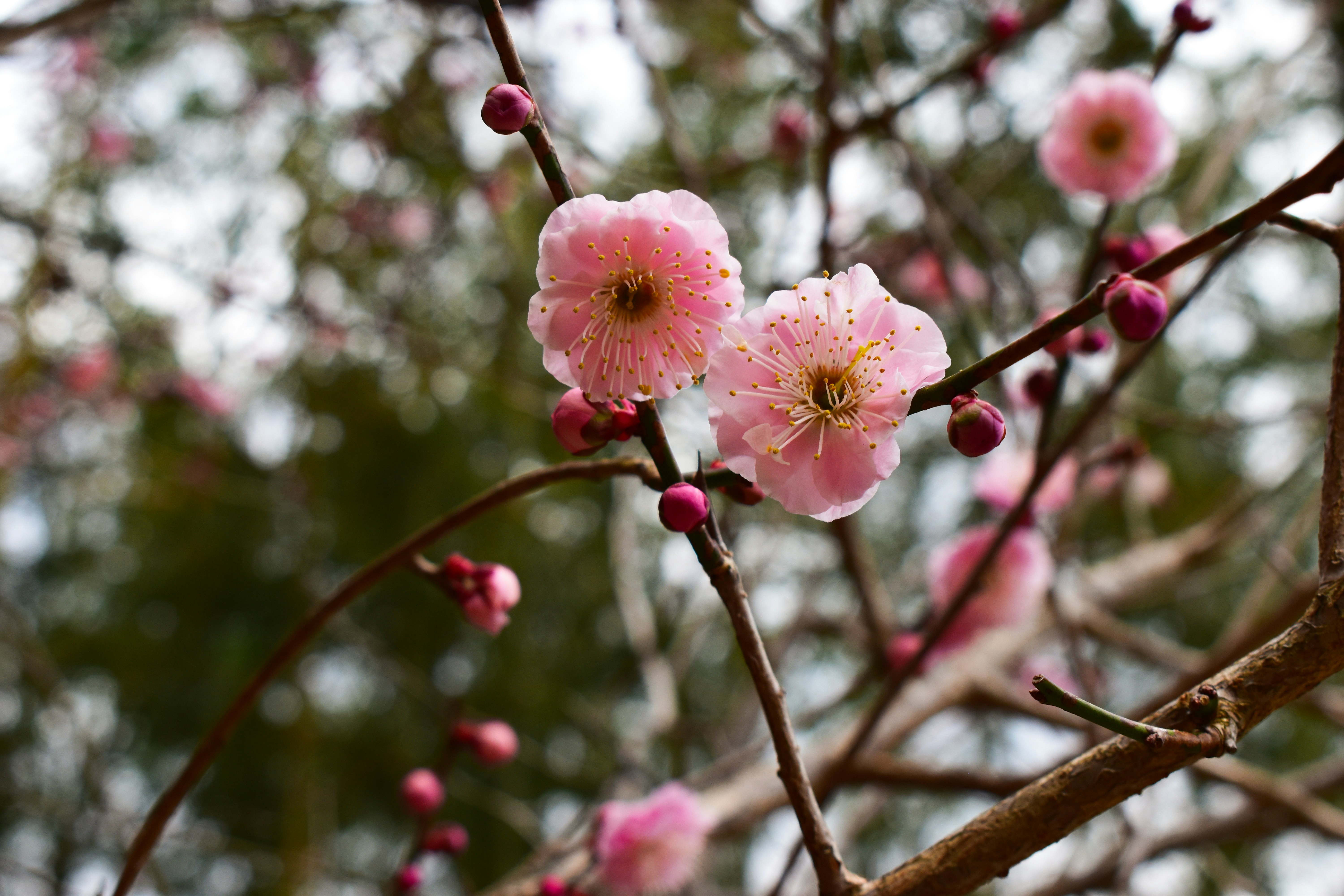 Photo by reese_harvey