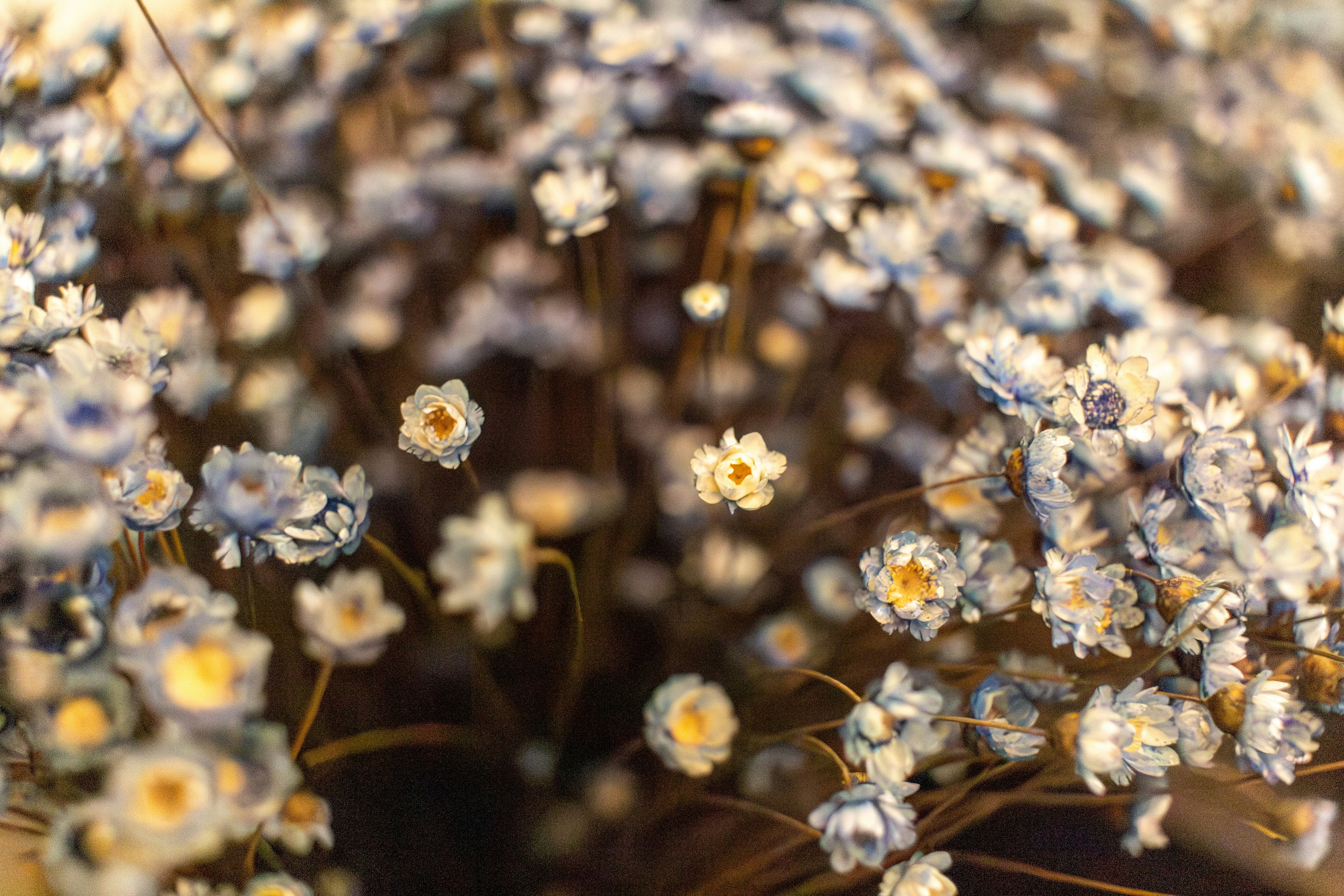 Photo by albertolung