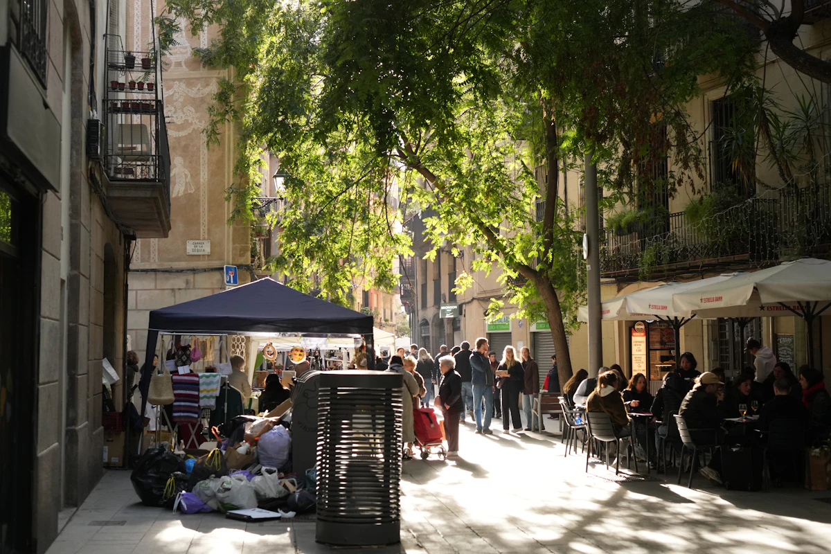 Convives attablés en terrasse sous les arbres, ambiance déjeuner de village