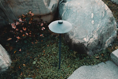 A garden light sits between rocks and plants.