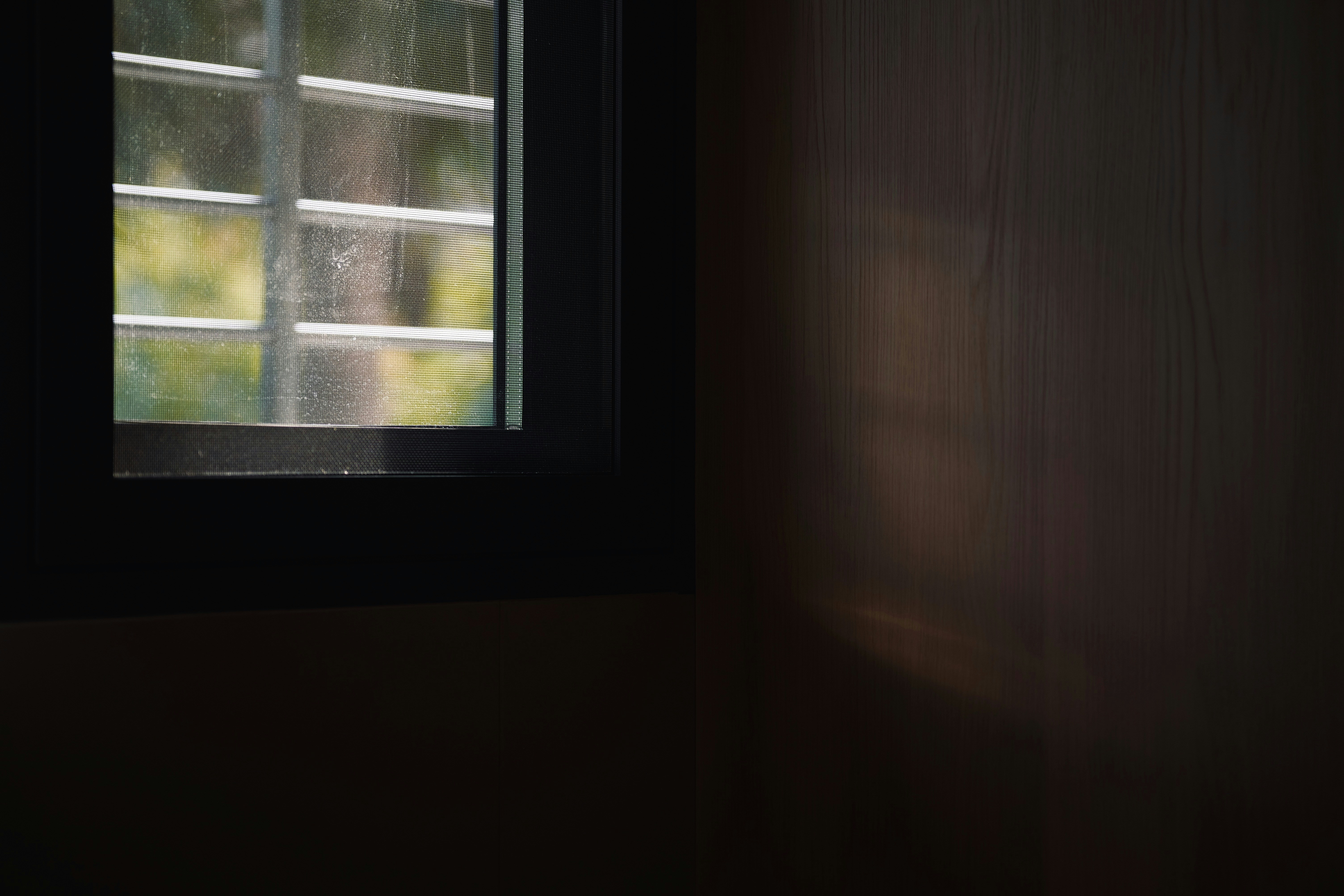 Photo by bunnystudio