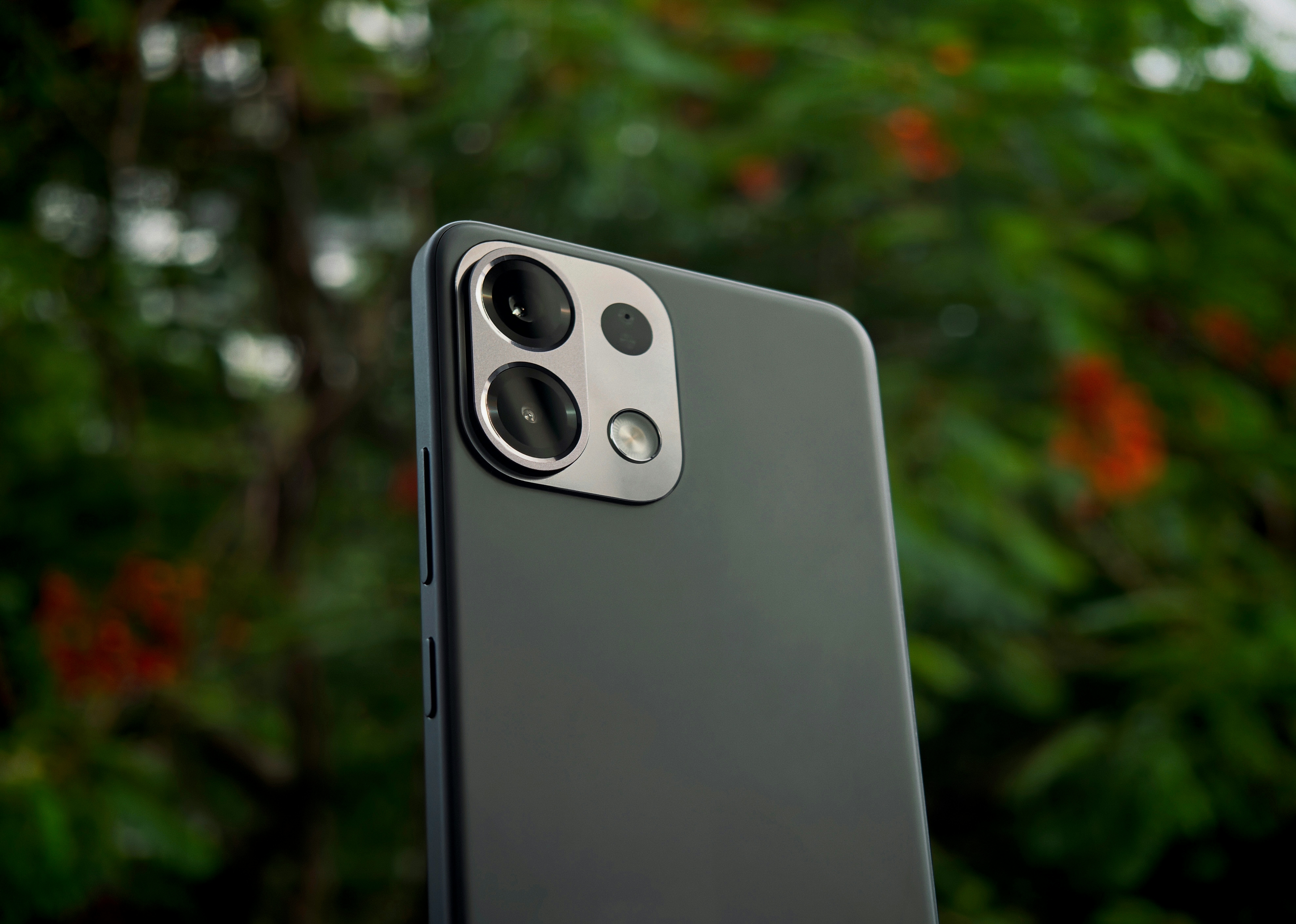 Photo by bunnystudio