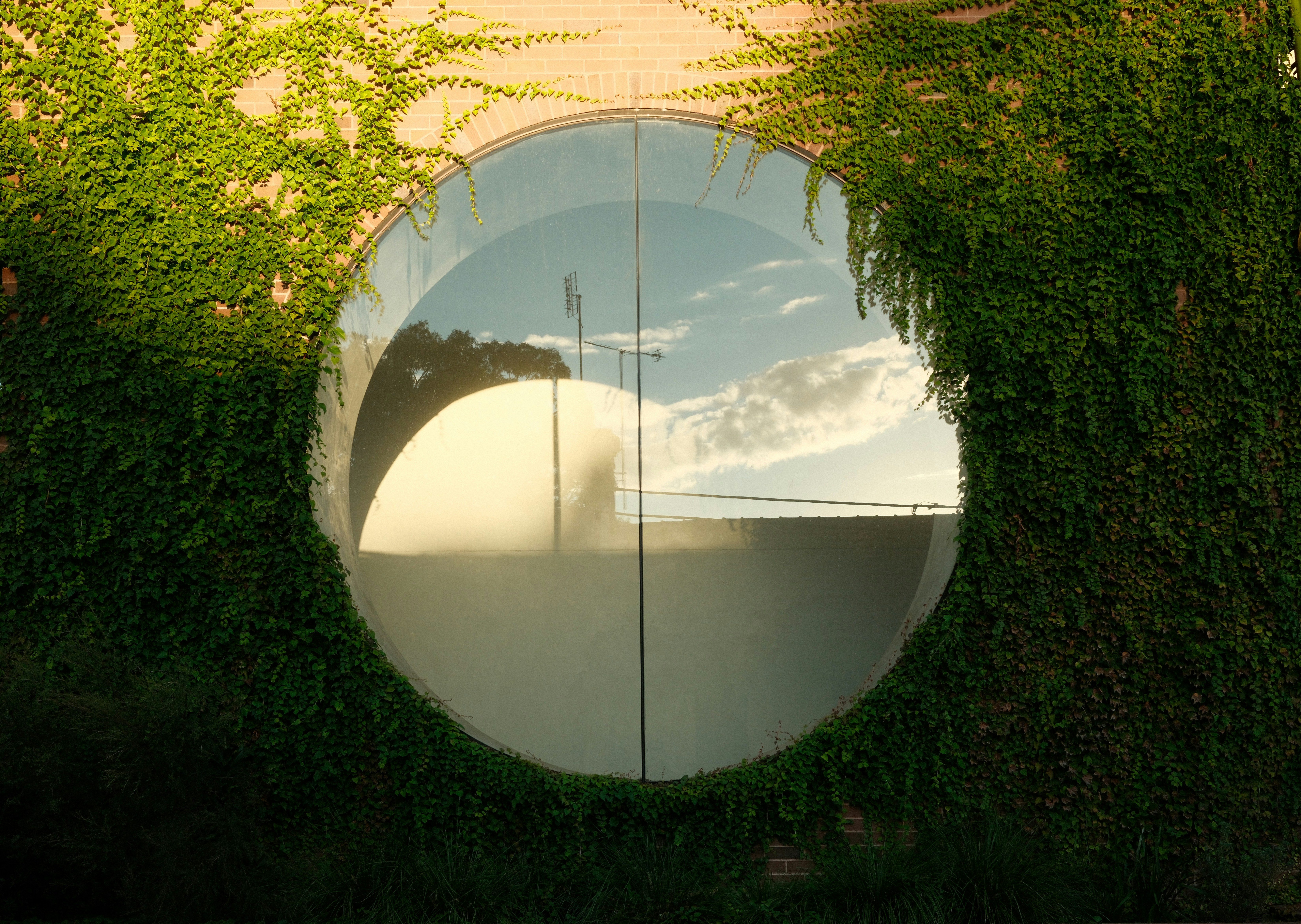 Industrial insurance plan, although typically pricey, can be a basic need for your company. Getting a company that provides you with the thing you need for that selling price that you would like might be a aggravating and time intensive method. This infor