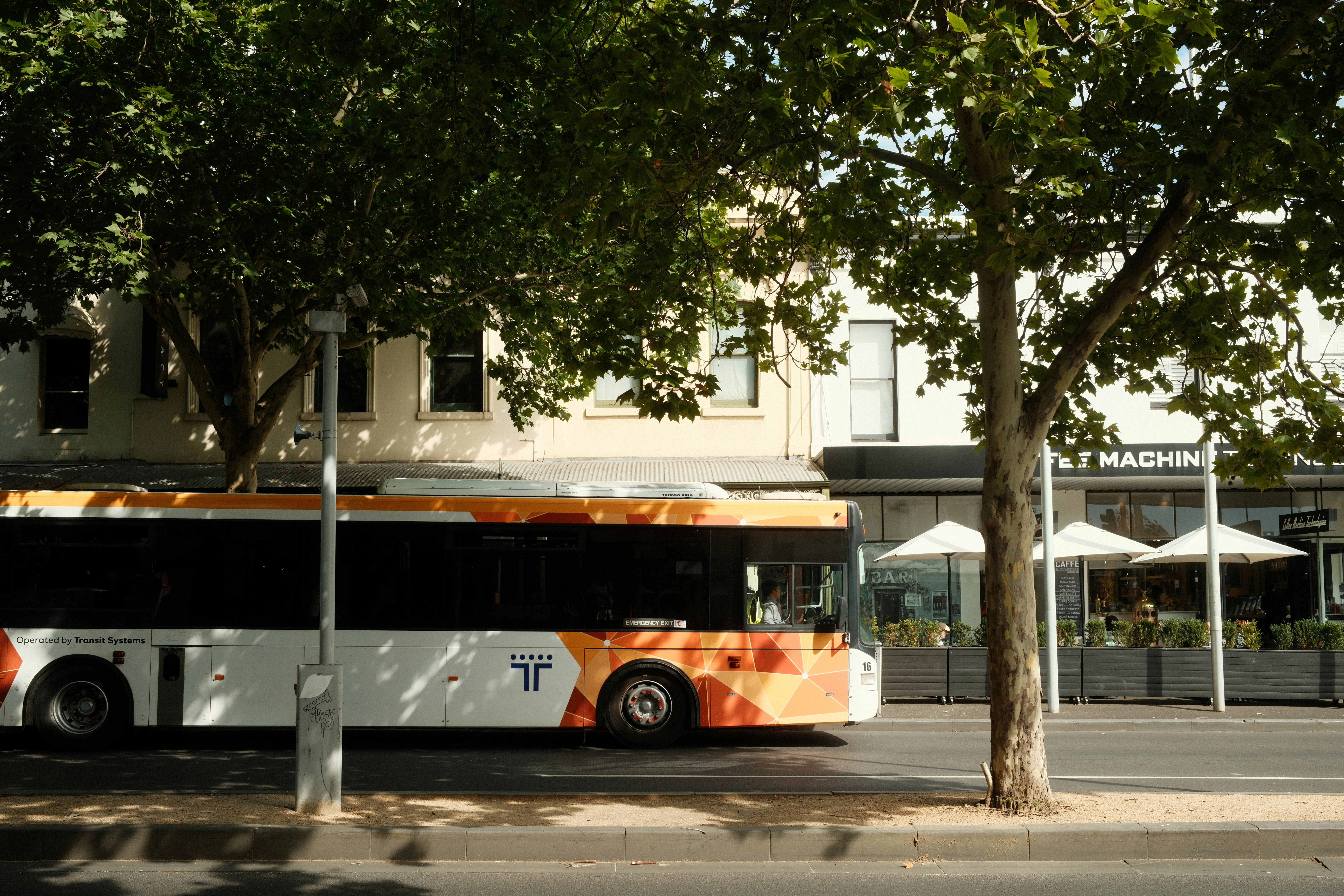 Mont Albert Activities Guide: 13 Places Worth Your Time (2026)