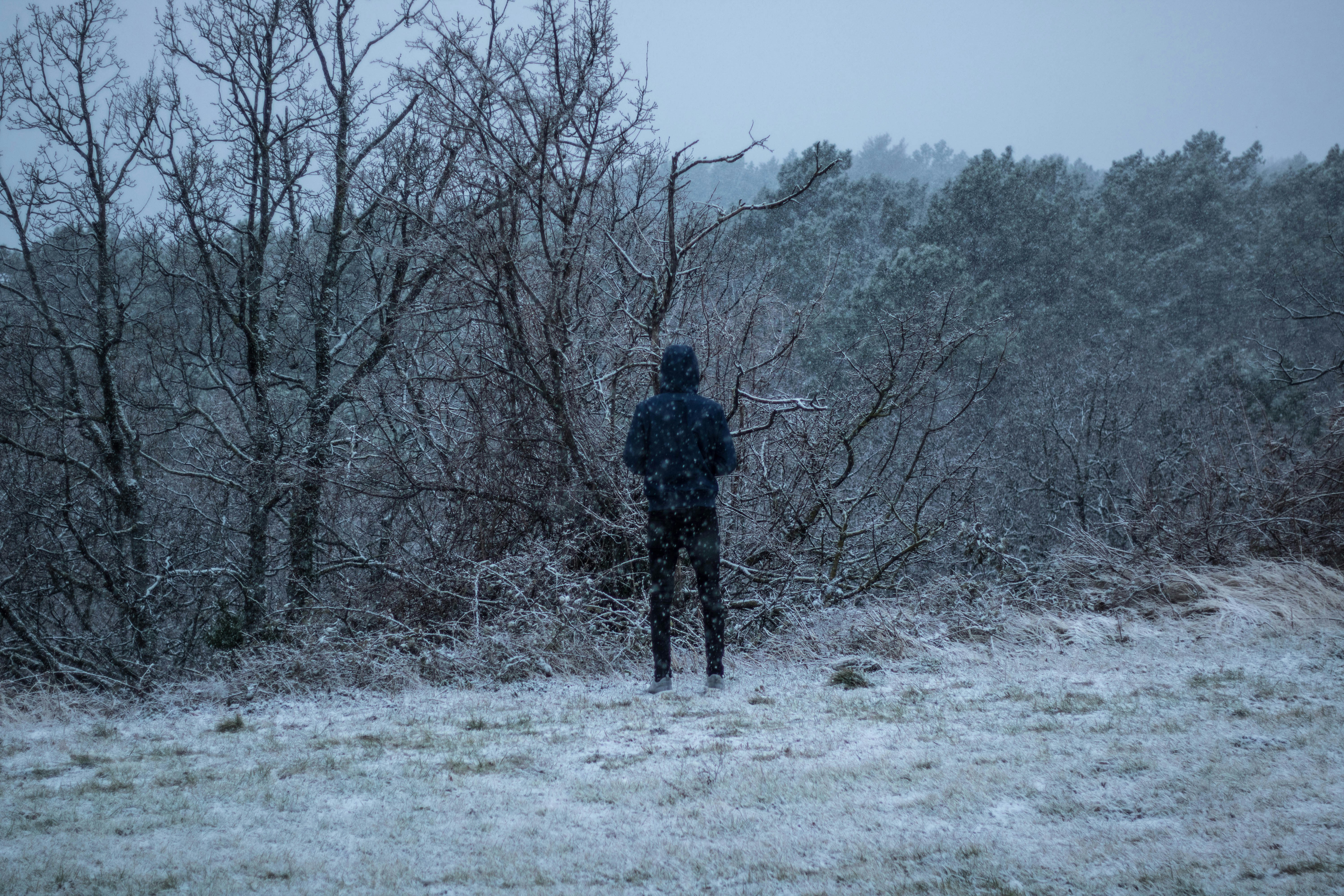 Photo by gaetanthurin
