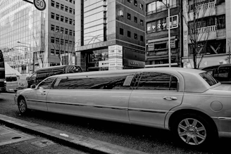 A white limousine drives down a city street