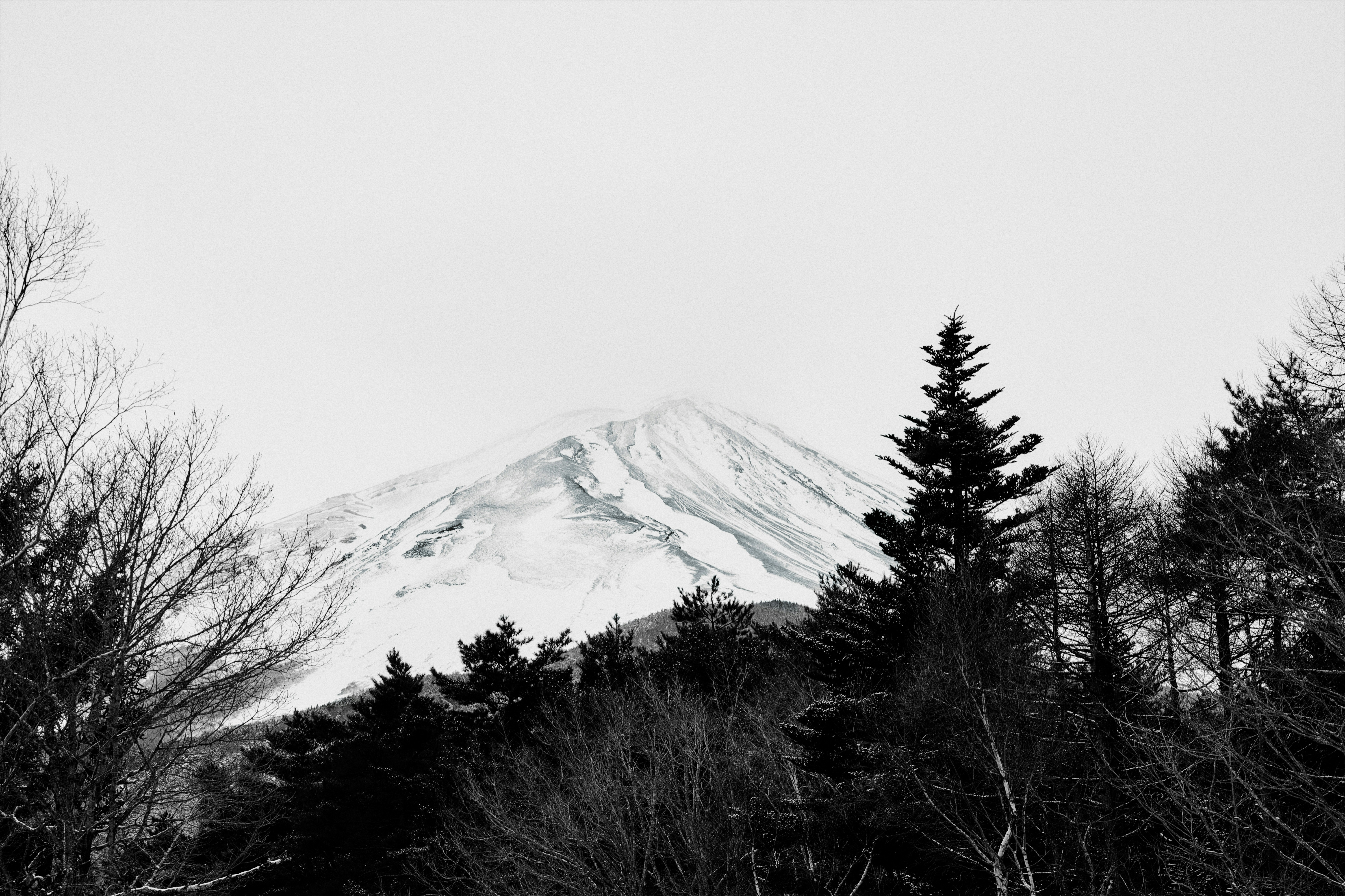 Photo by manhngo