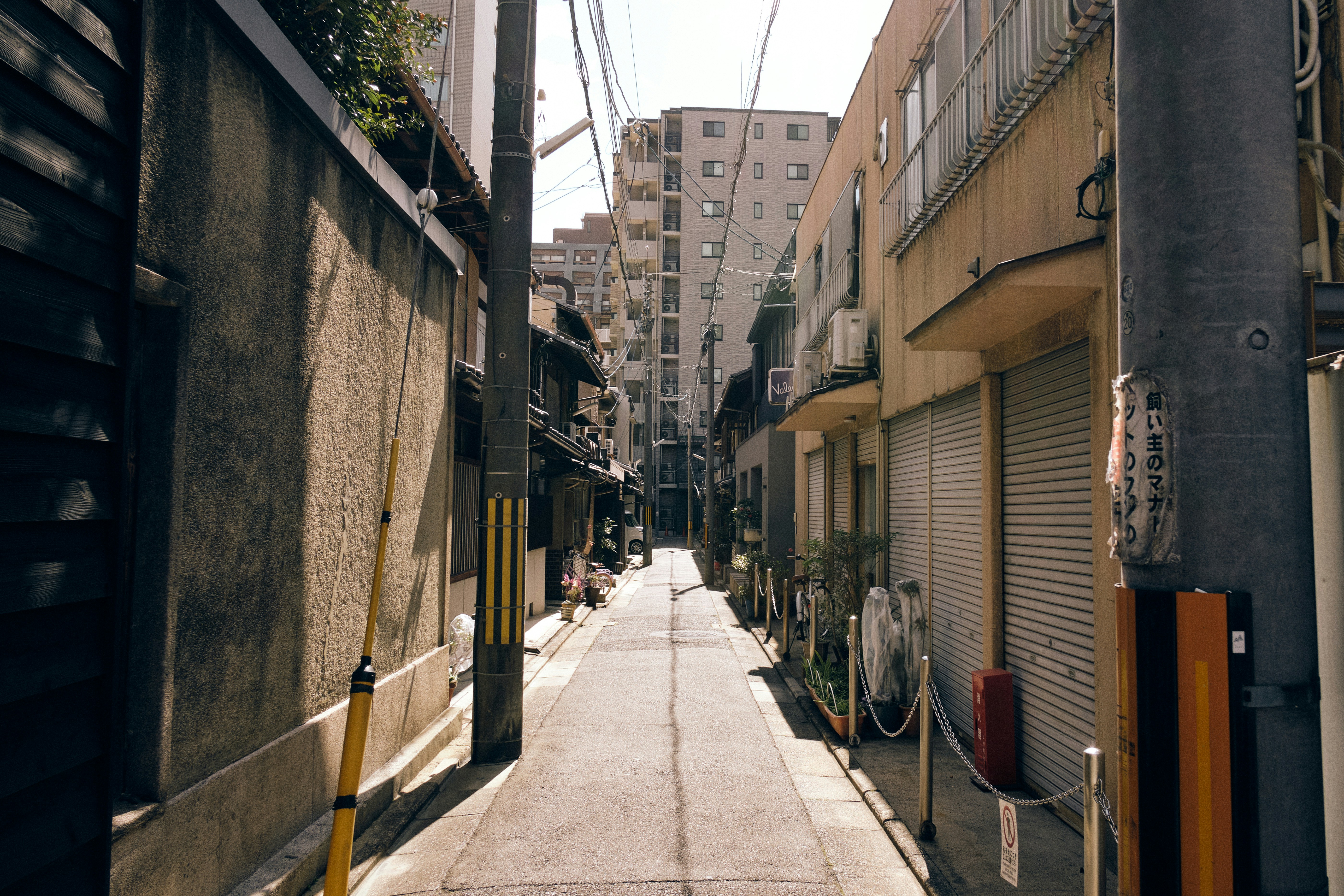 Photo by manhngo