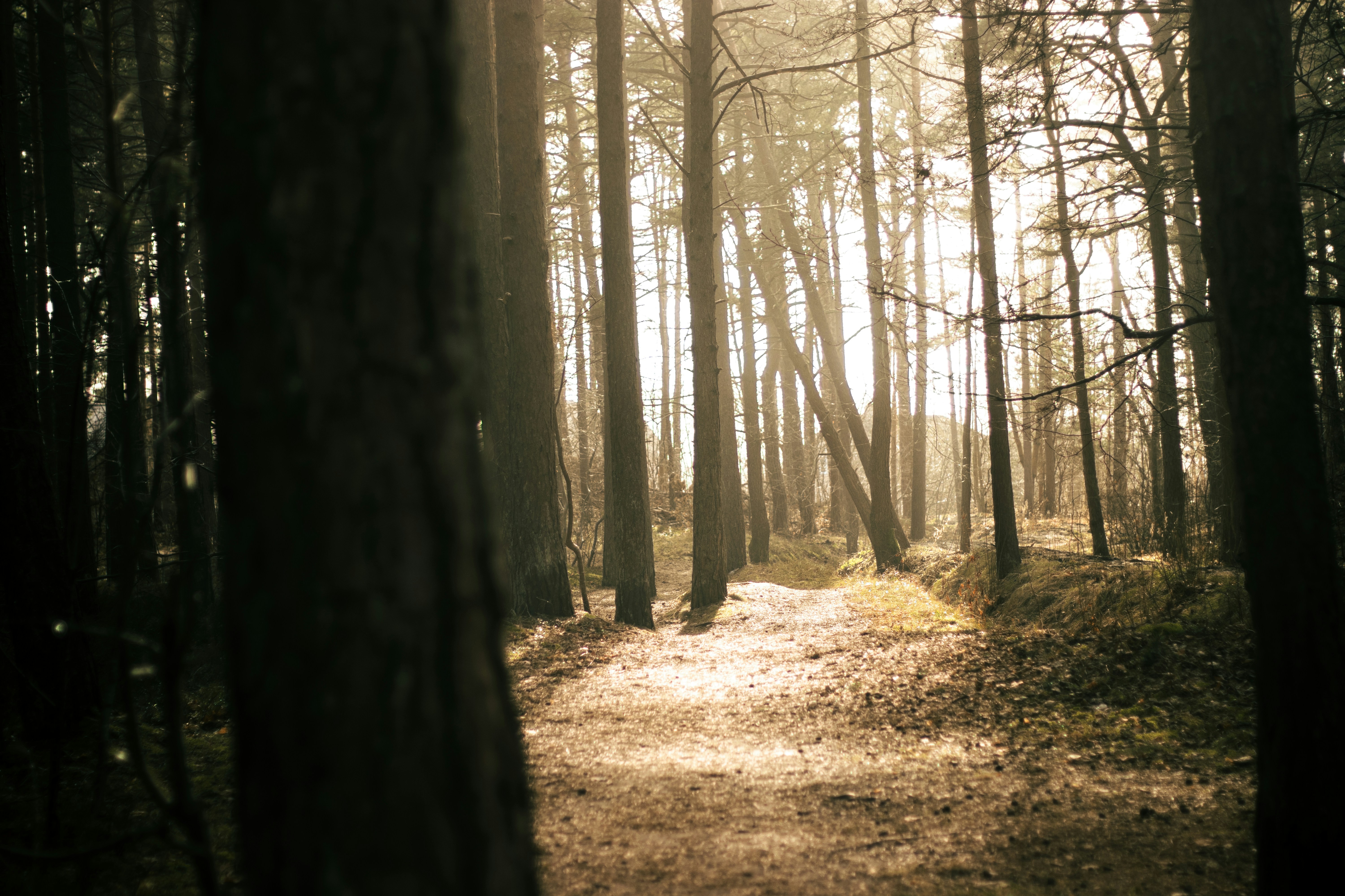 Photo by reinisbruzitis