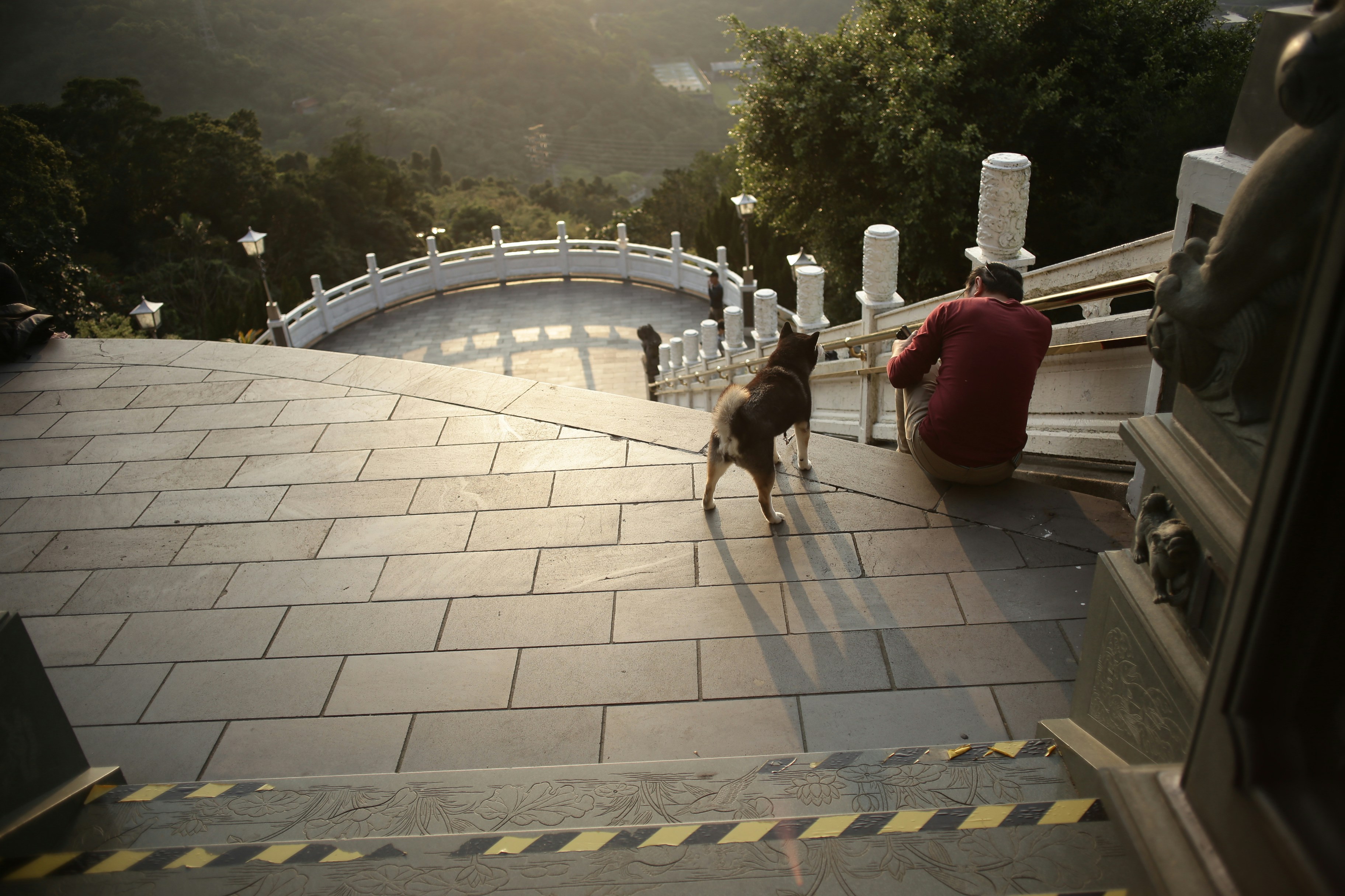 A dog sits on a stone staircase with a person.