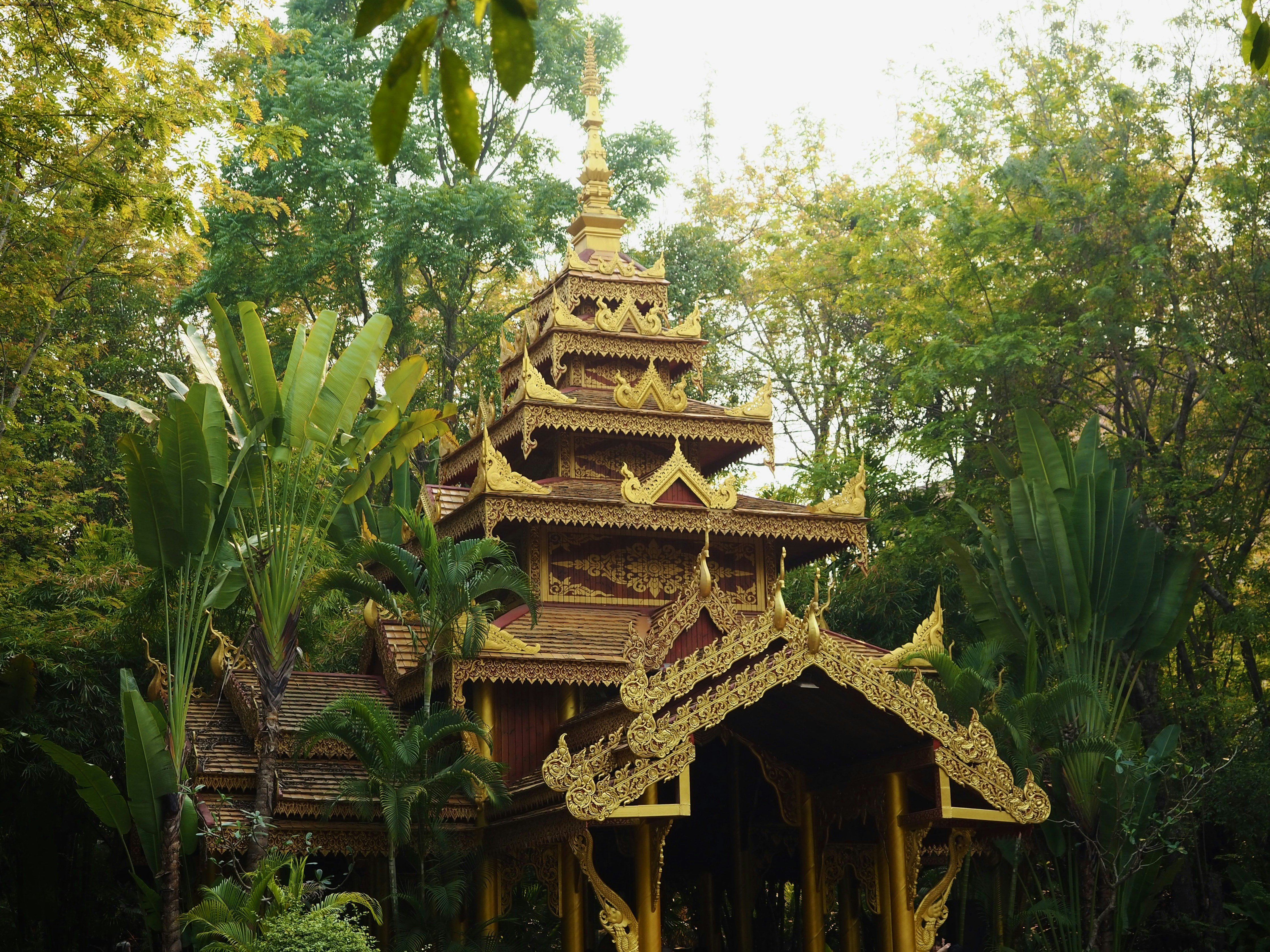 Photo by mianmian1997